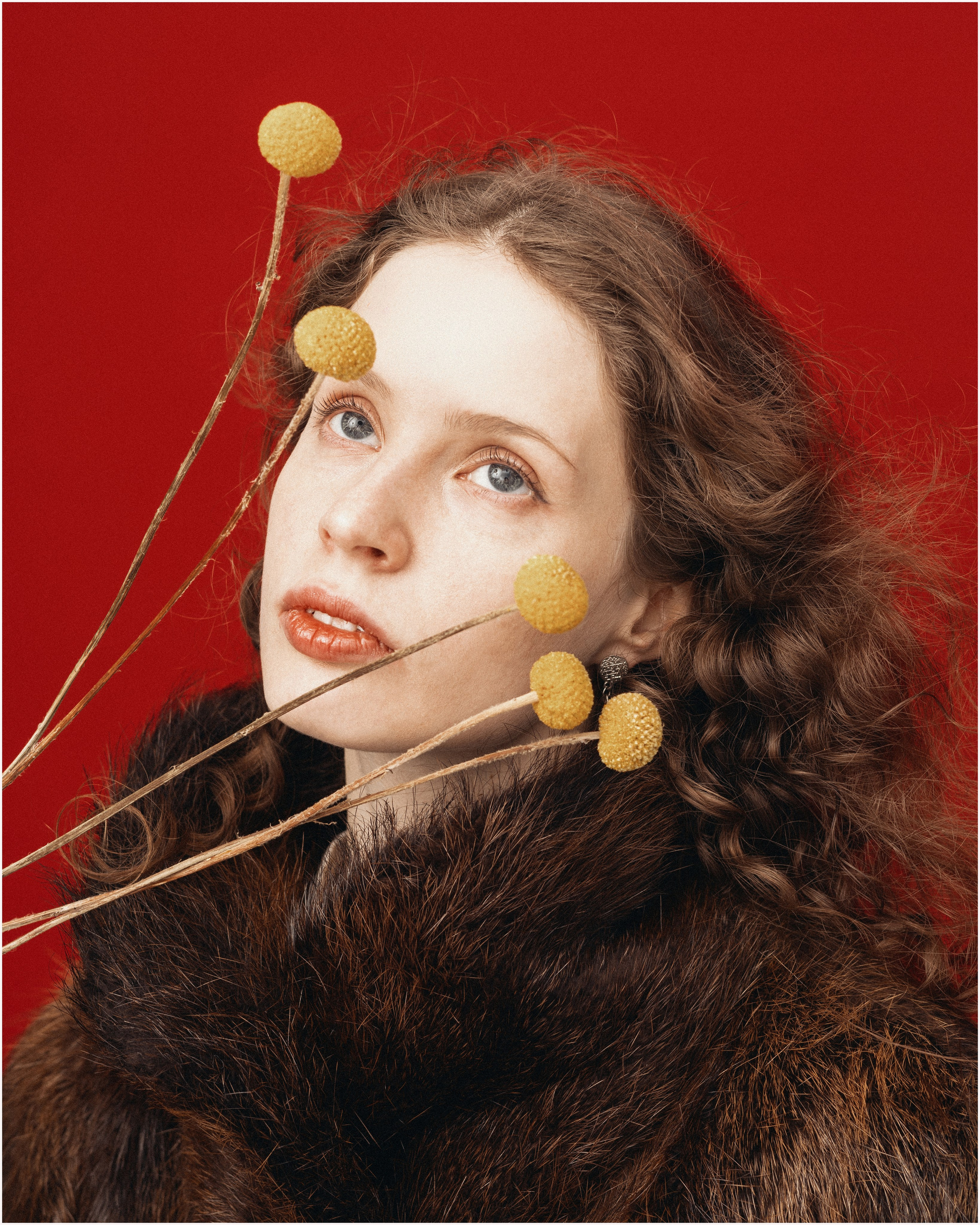 Услуги. NarvalPhotographer — Владимир Кортиков — фотограф из Санкт-Петербурга