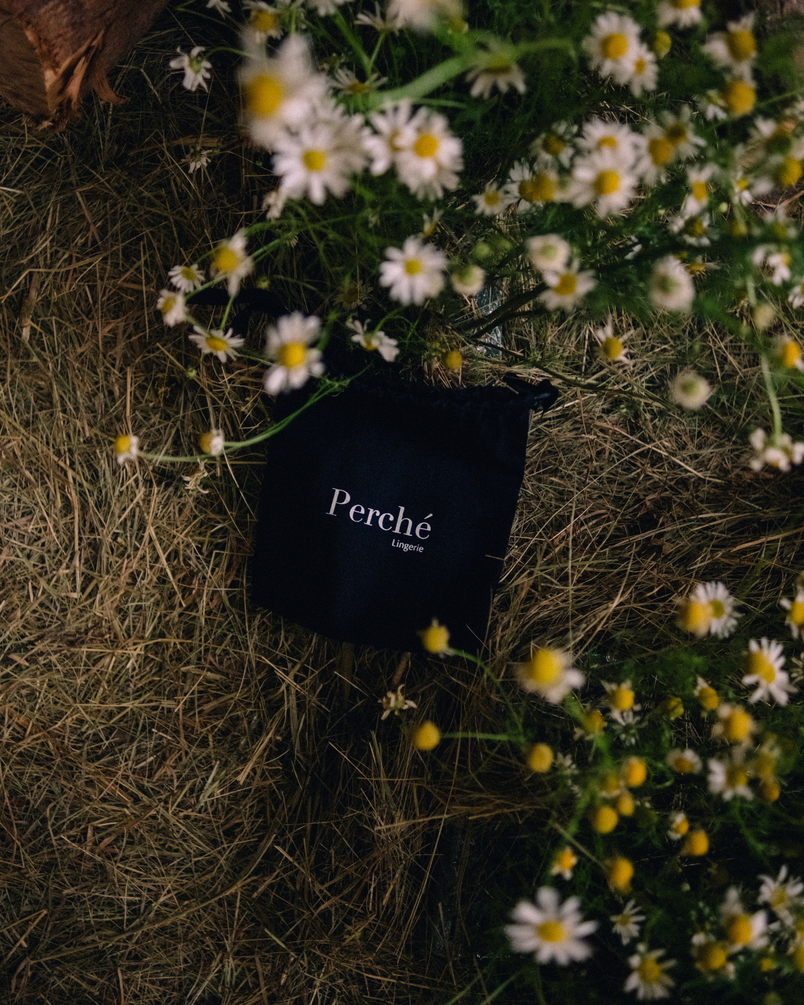 Записаться на съемку. Doctor Azrael, портретный фотограф в СПб и Всеволожске