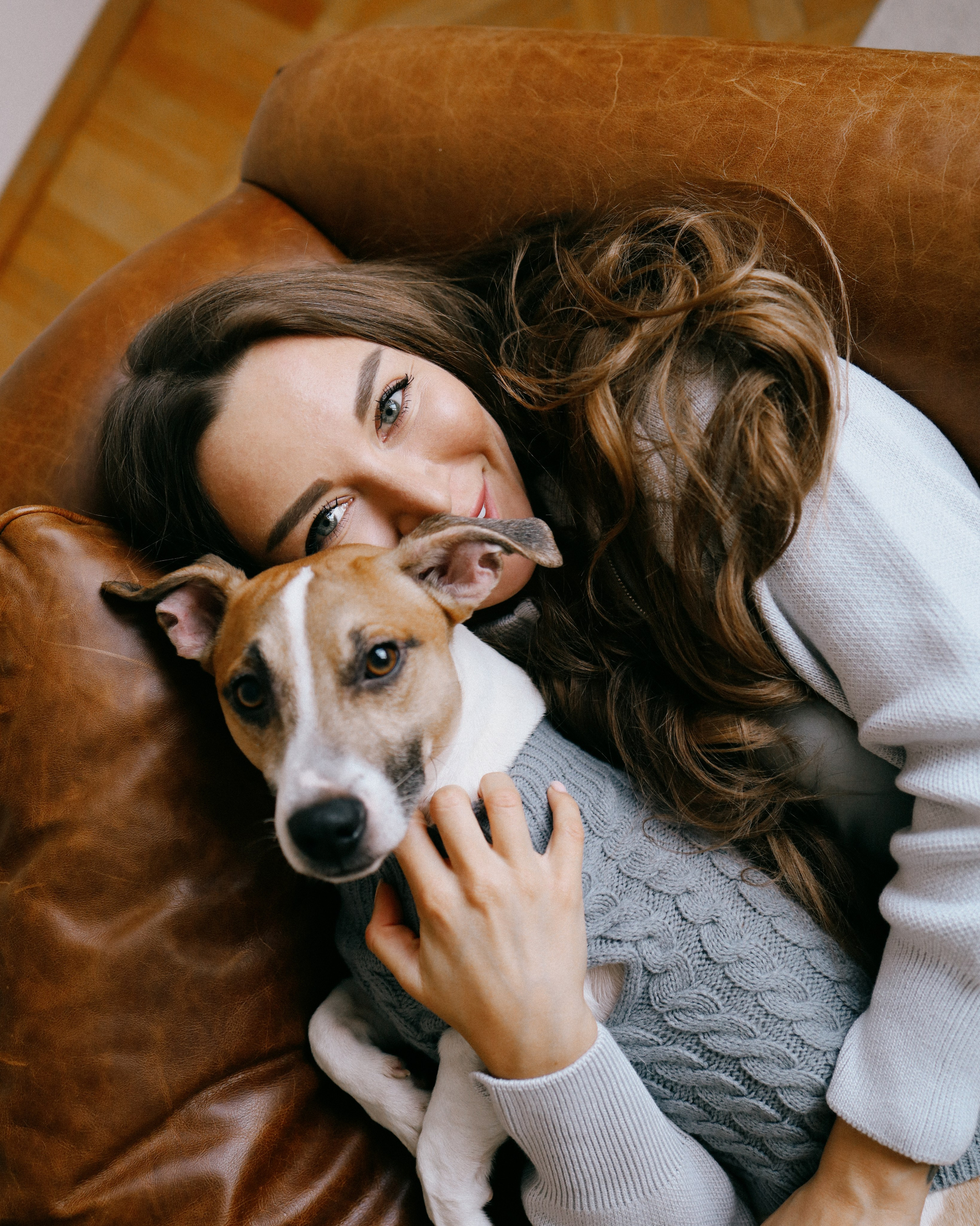 Цены и условия. Портретный фотограф в Москве. Фотосессии с собаками