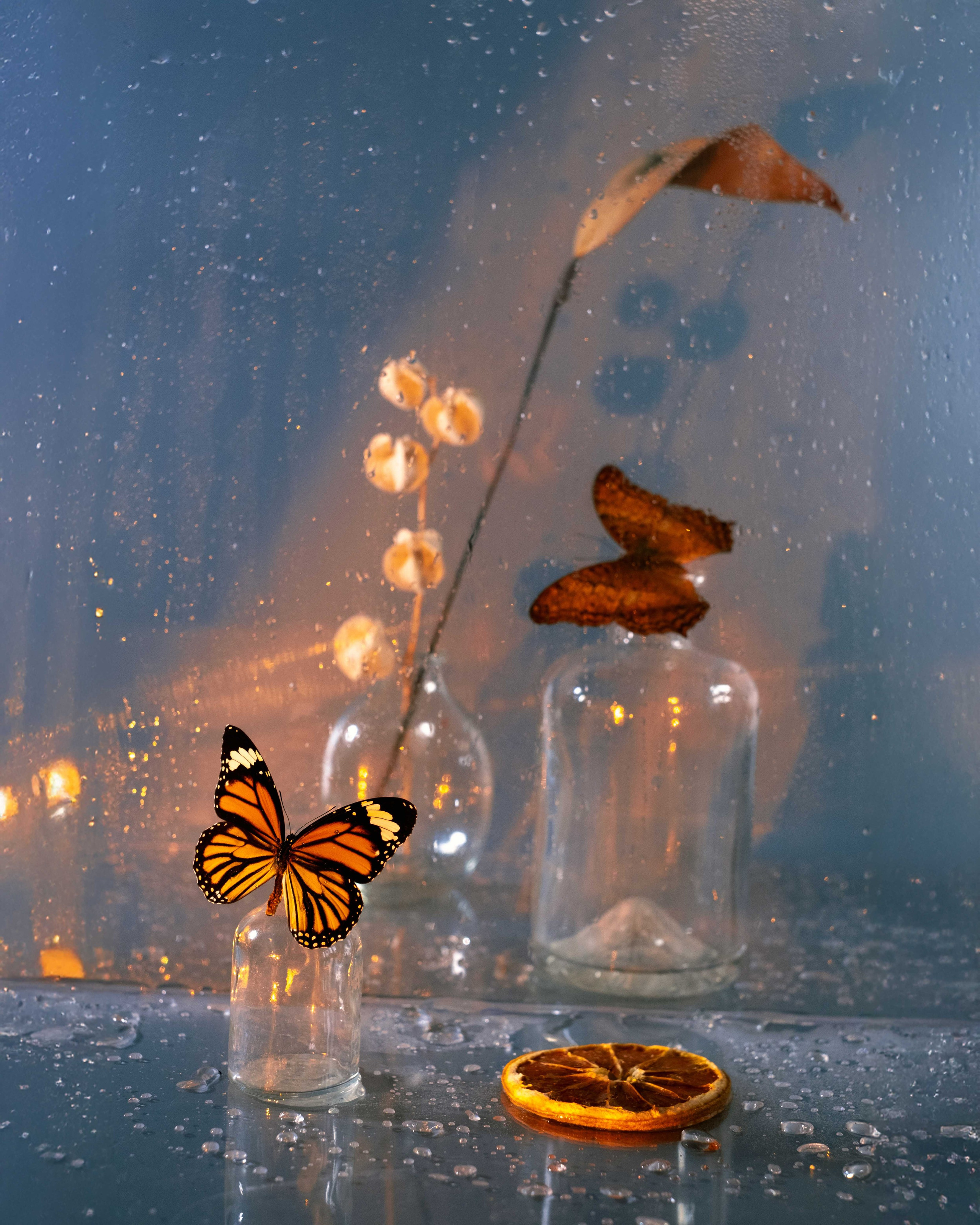 Предметная съемка. Фотограф Алина Малина