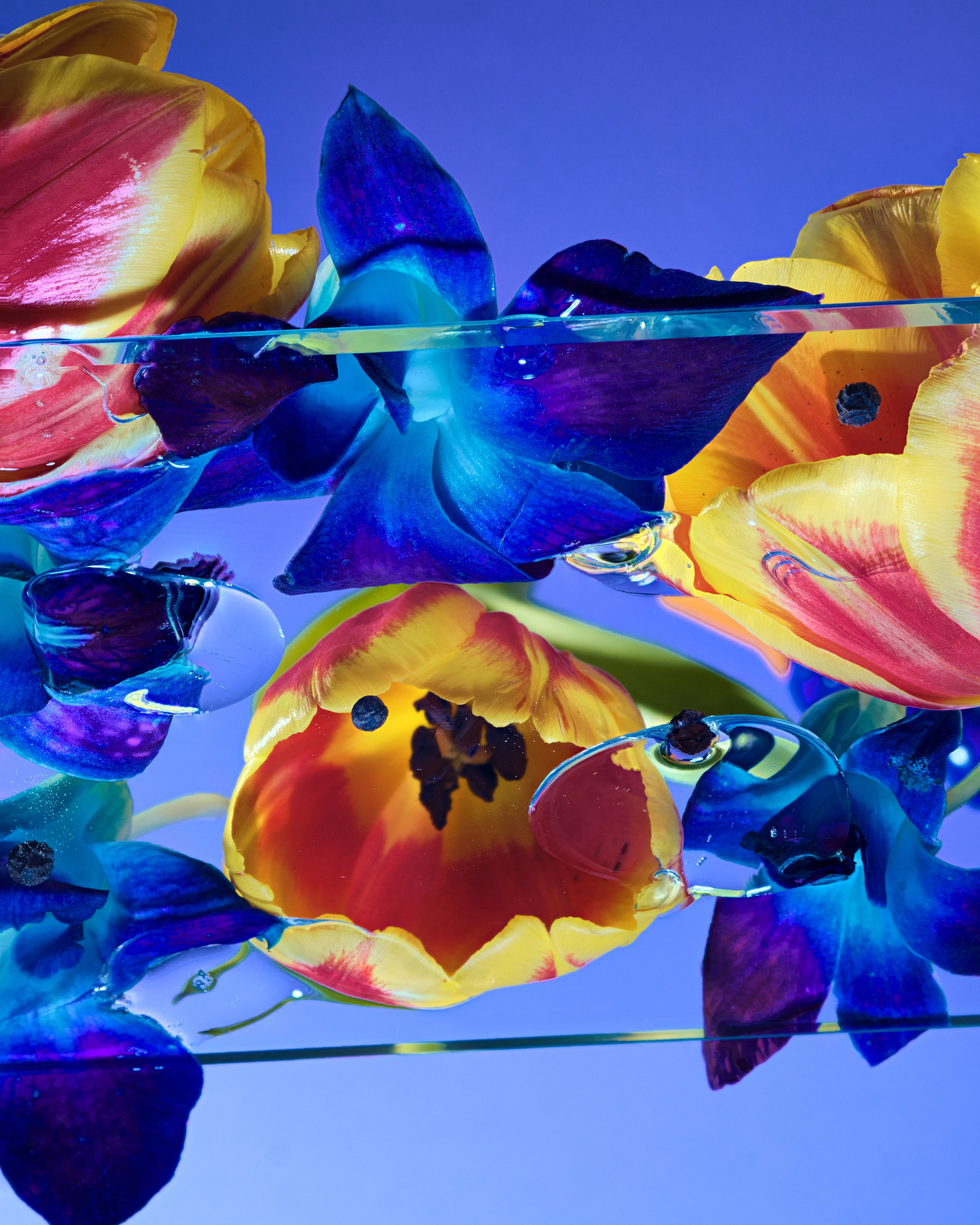 Предметный фотограф в Москве Анастасия Шаронина