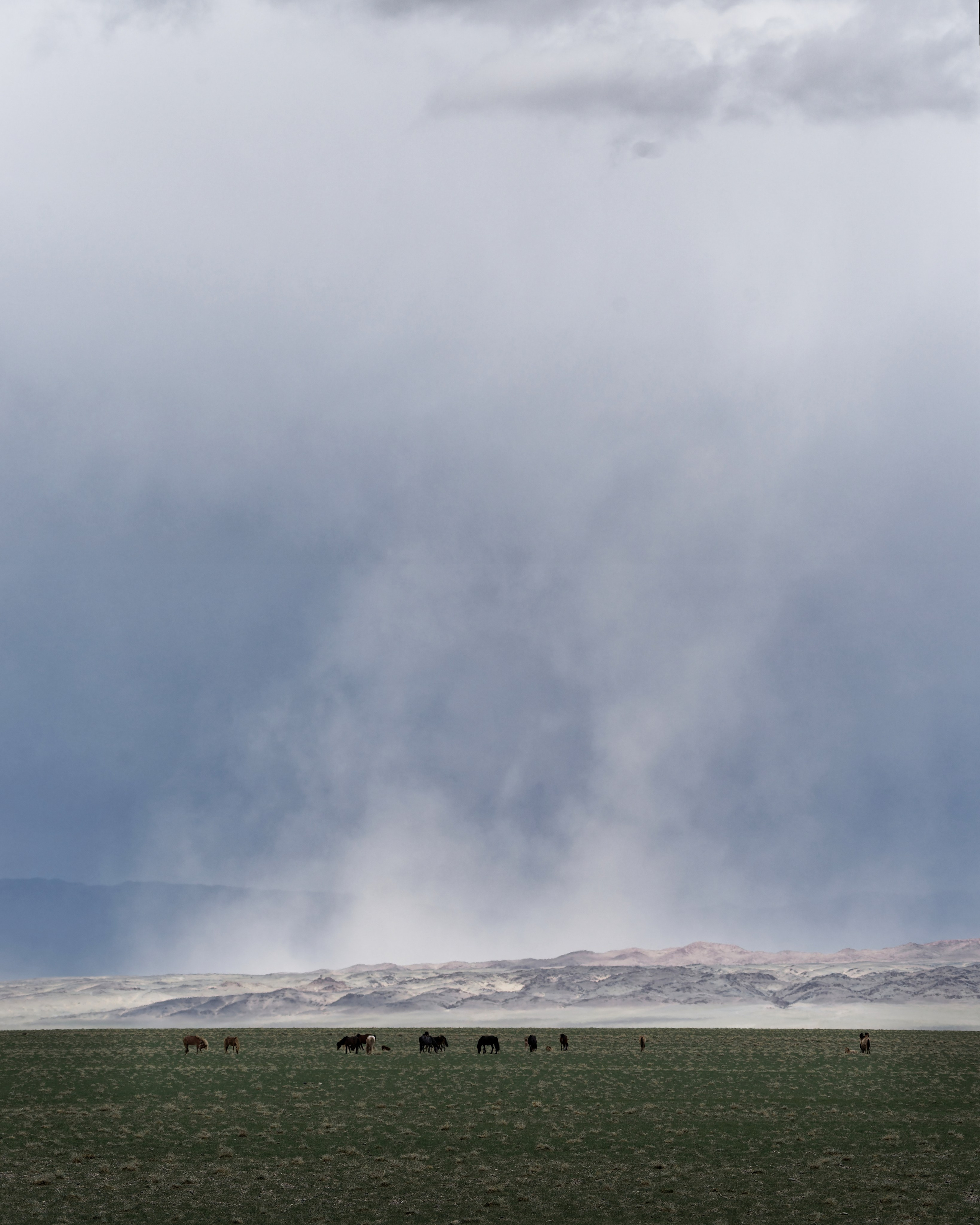 Экспедиция в Монголию (Гоби). Семоха Валерий. Фотограф