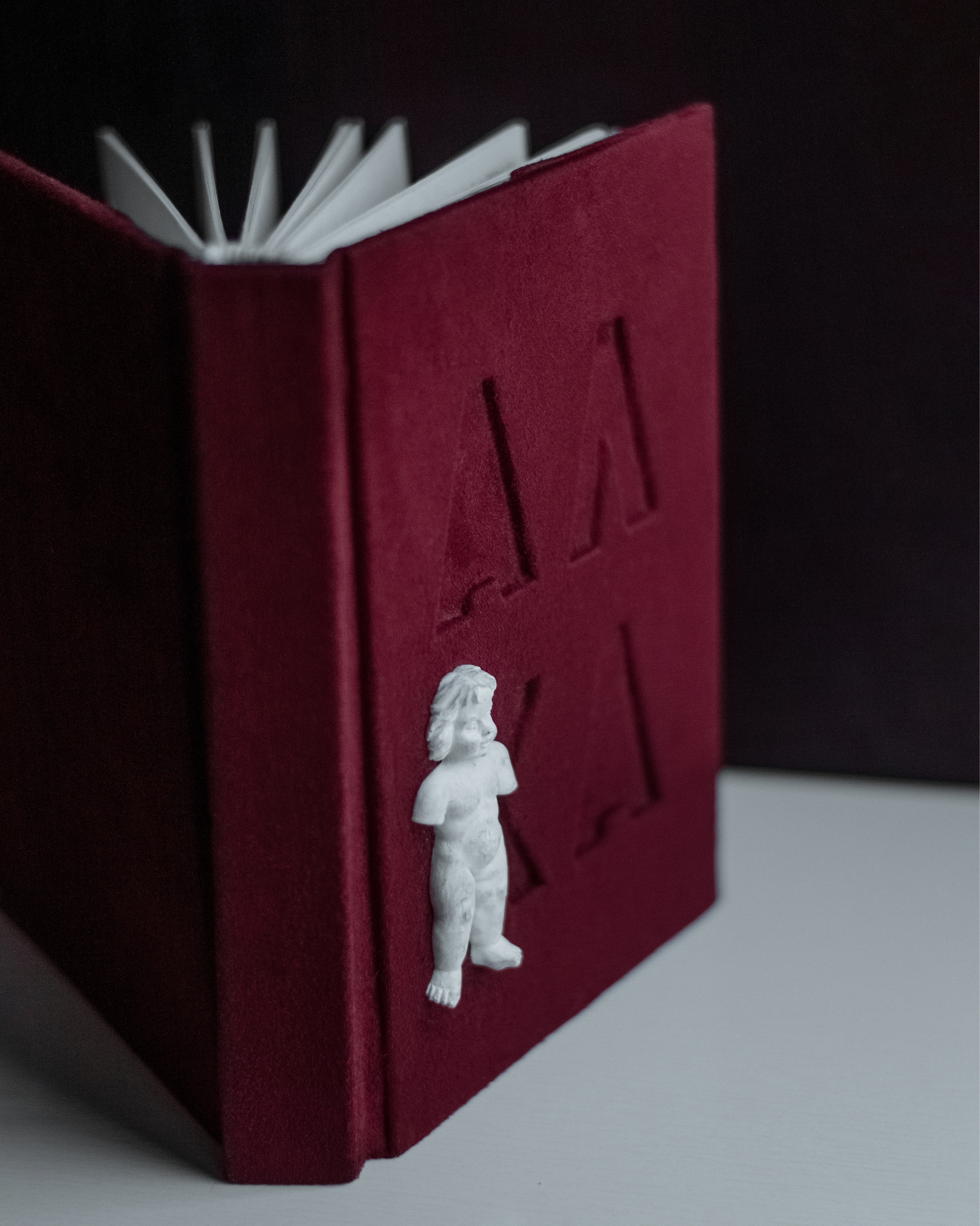 Фотоальбомы. Анастасия — фотограф