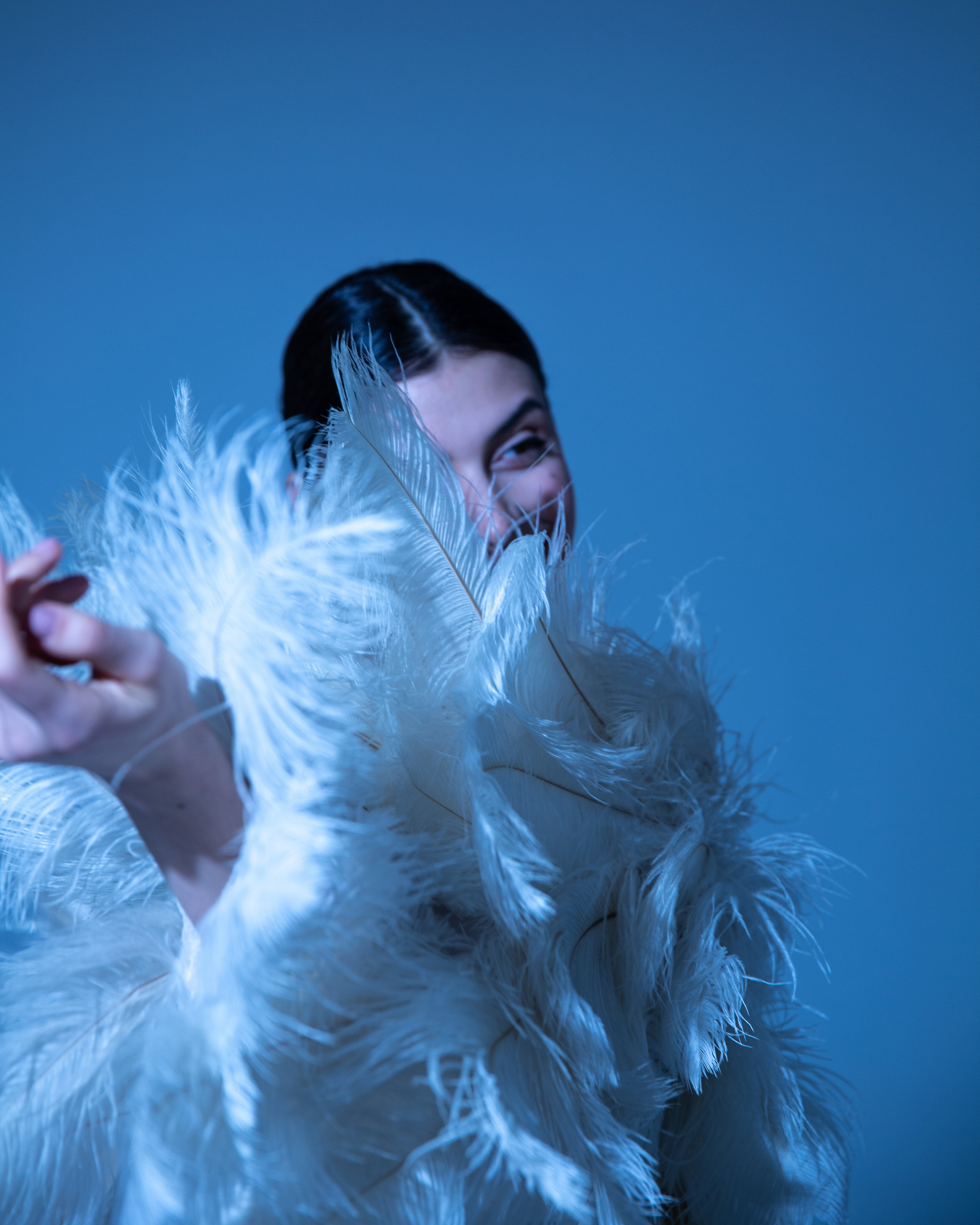 Полет птицы пернатой. Визуальный художник Лиана Даренская, Москва