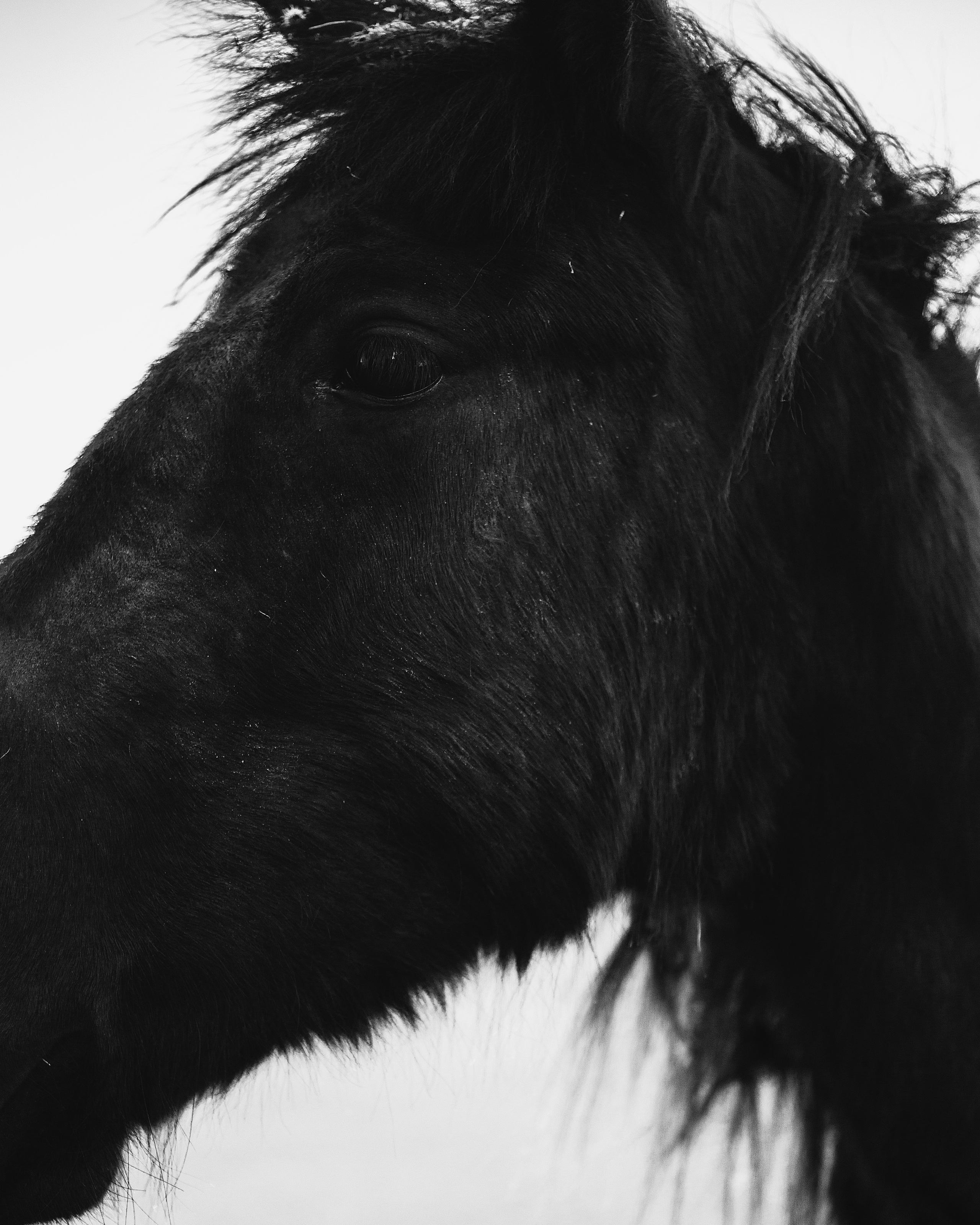 Богема — настоящая. Фотограф в Санкт-Петербурге Павел Жуков