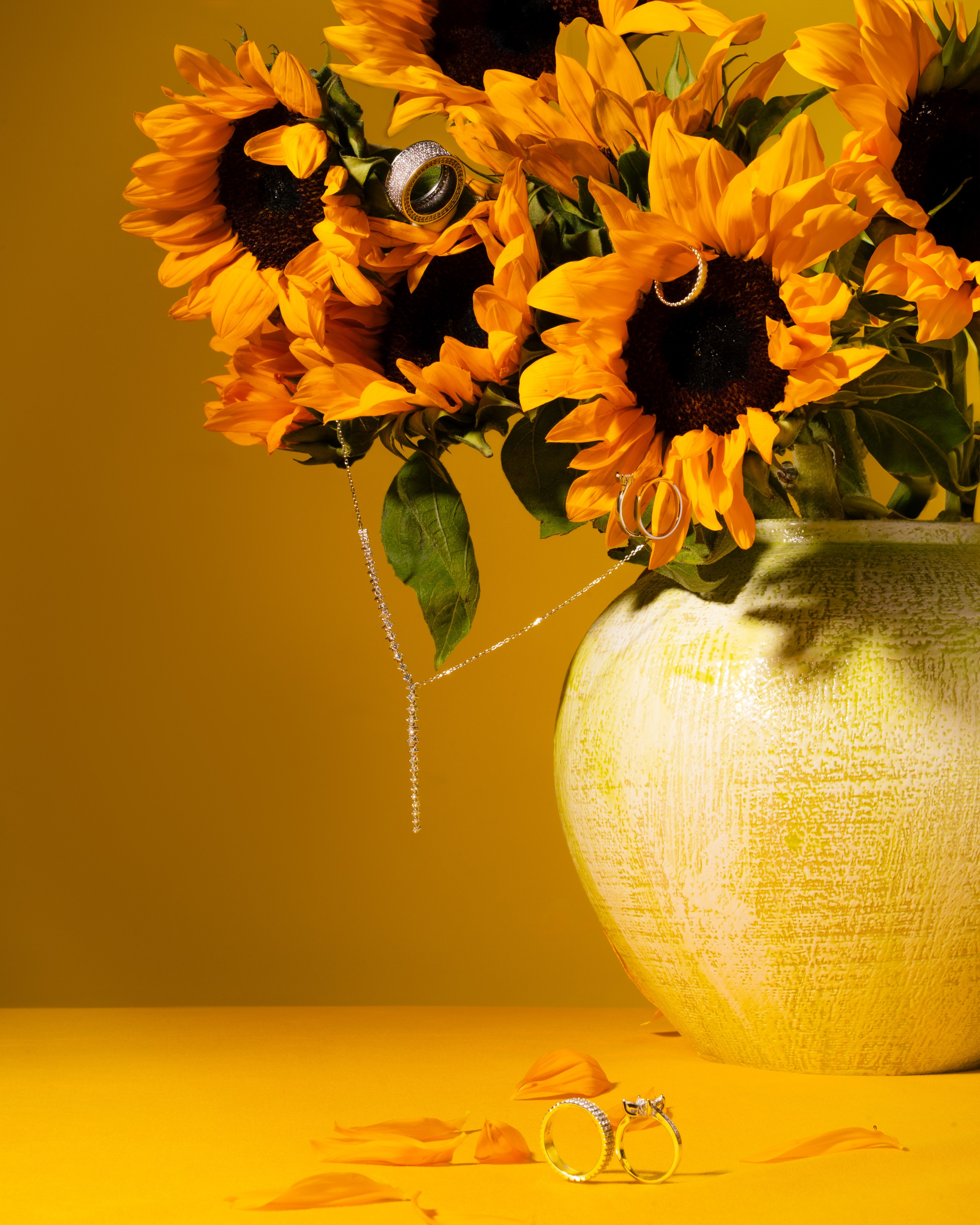 Стоимость и условия съемки. Главная