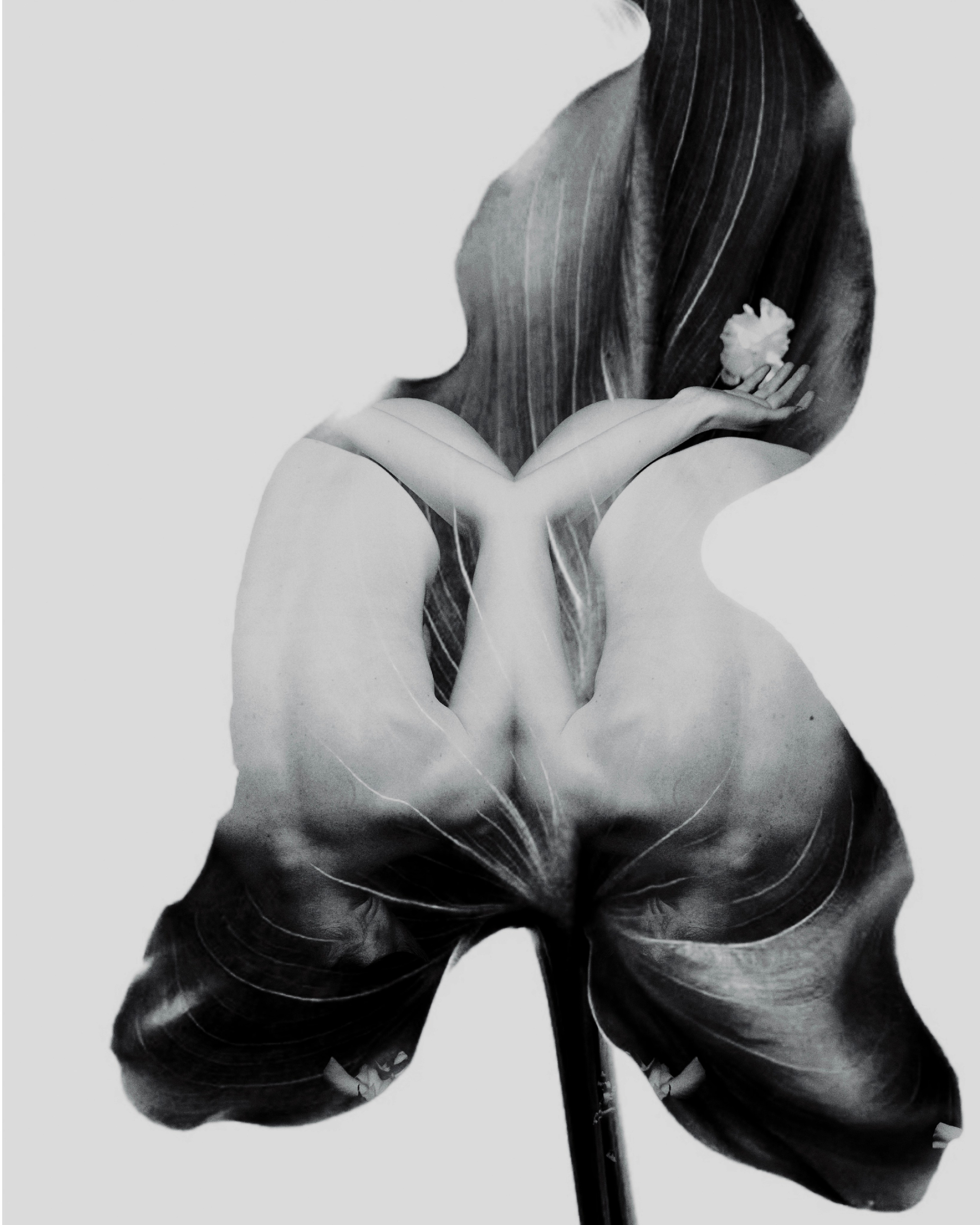 Меньшикова Нина. ARTEXPOPHOTO