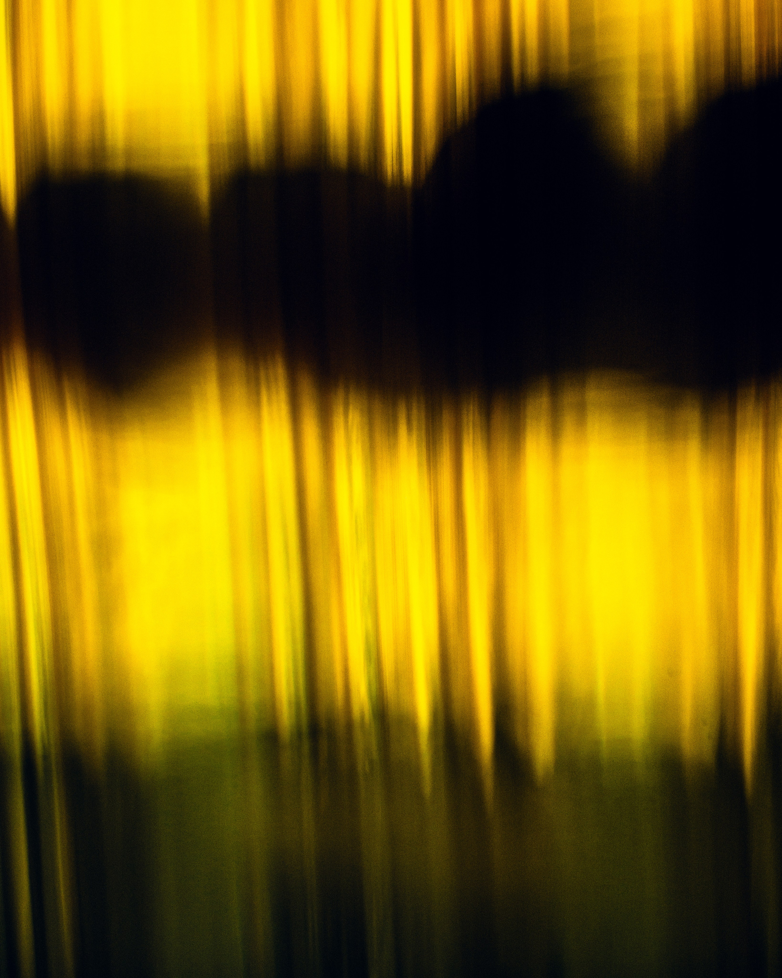 Лёна Лукичёва. ARTEXPOPHOTO