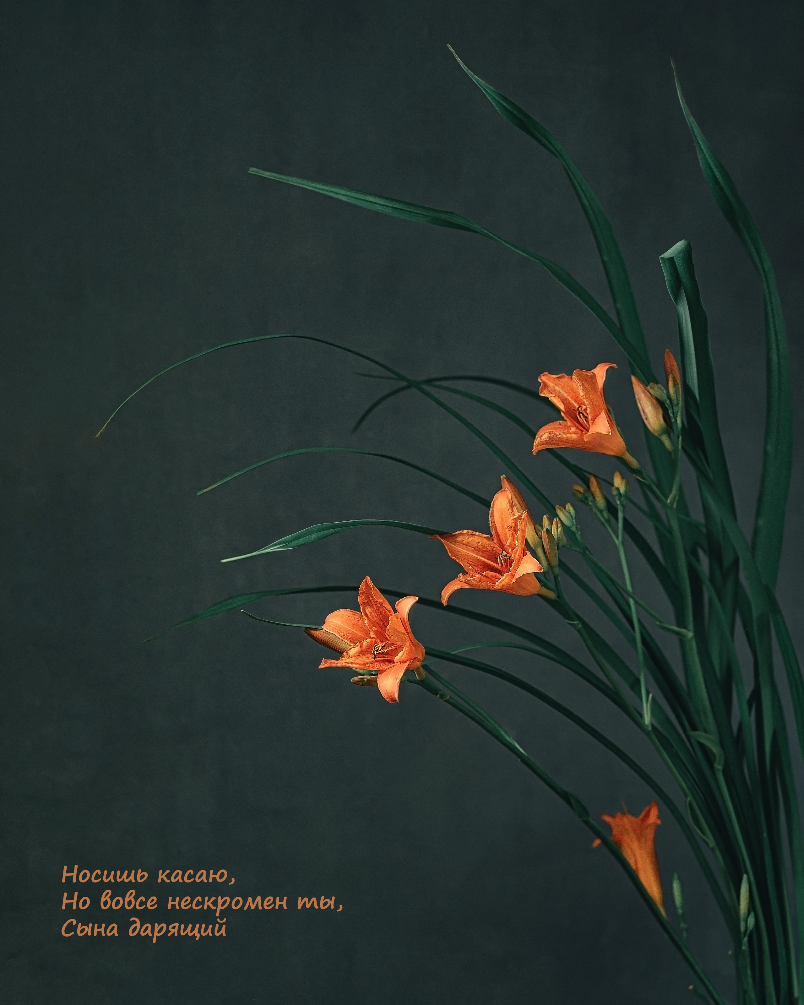 Фотопроект «Primavera». Портретный фотограф в Челябинске Катерина Руди