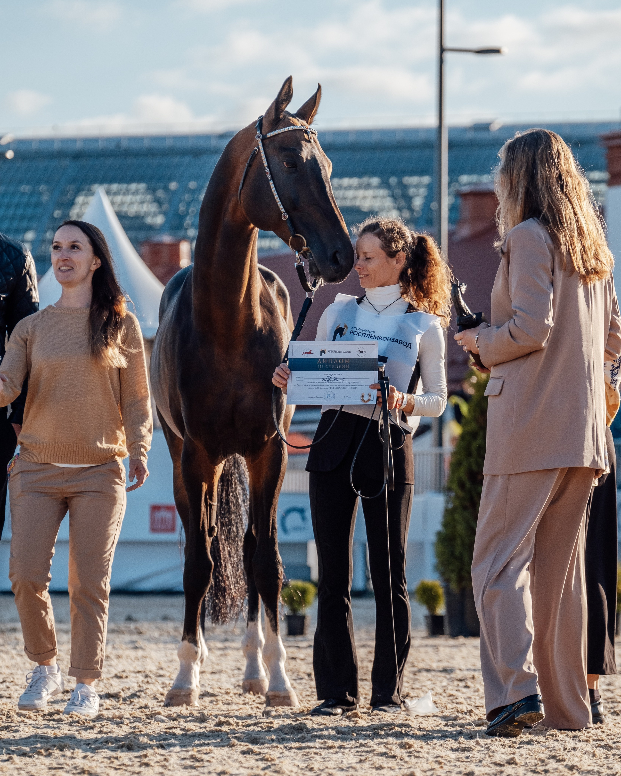 Случка. Horses for sale and for breeding