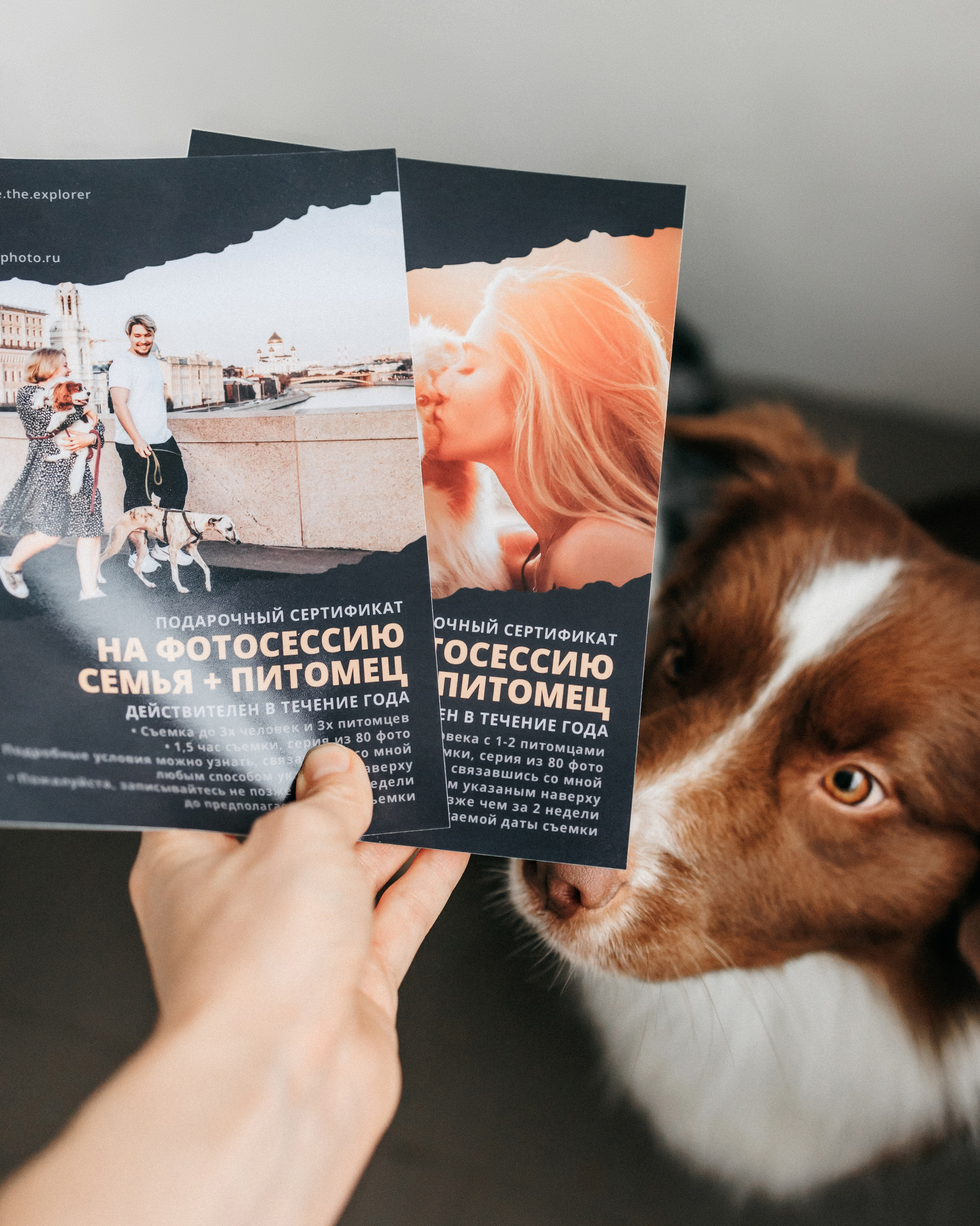 Услуги. Фотограф-анималист Елена Радченко, Москва