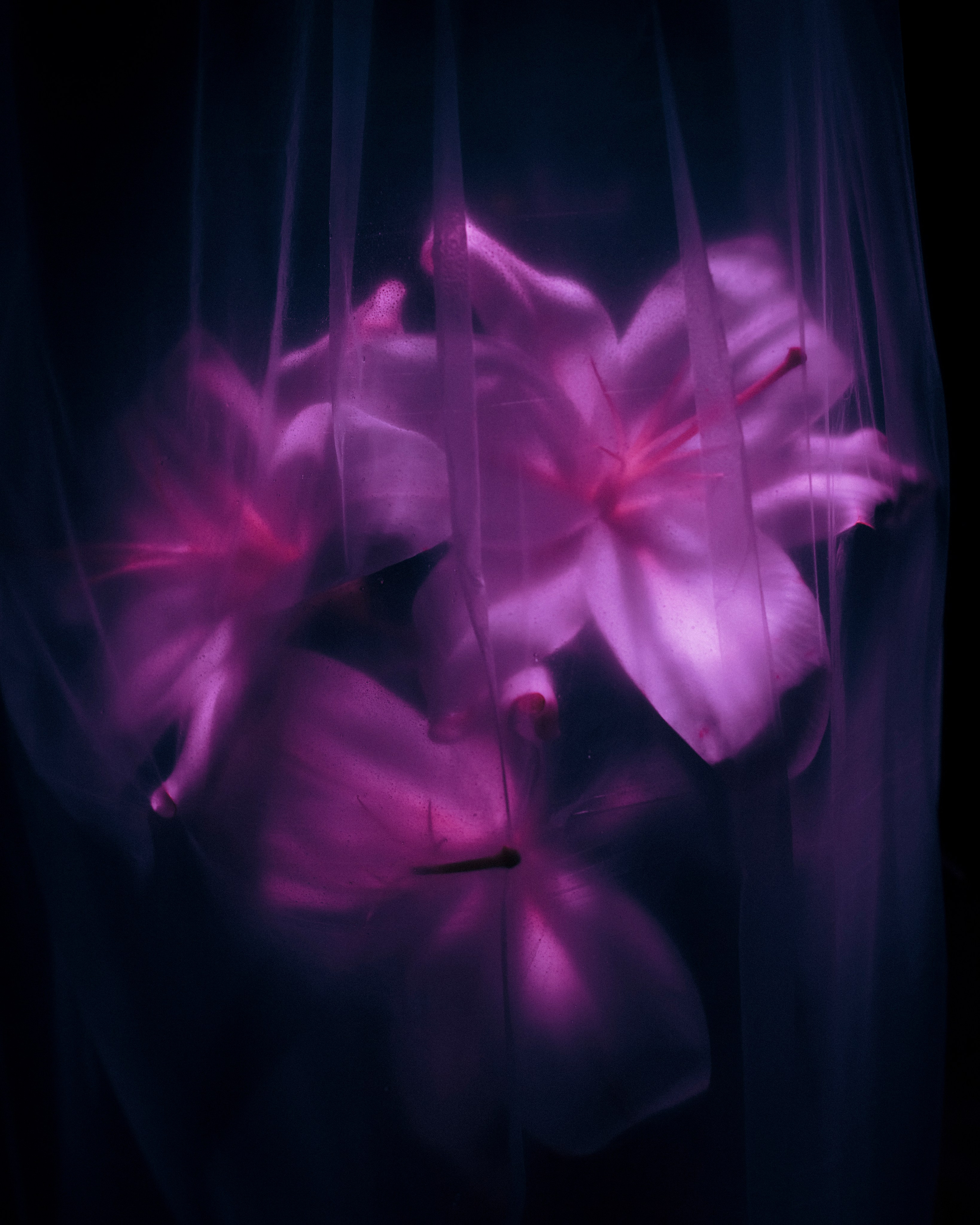 Открытки. Ostryakov Daniil Photographer