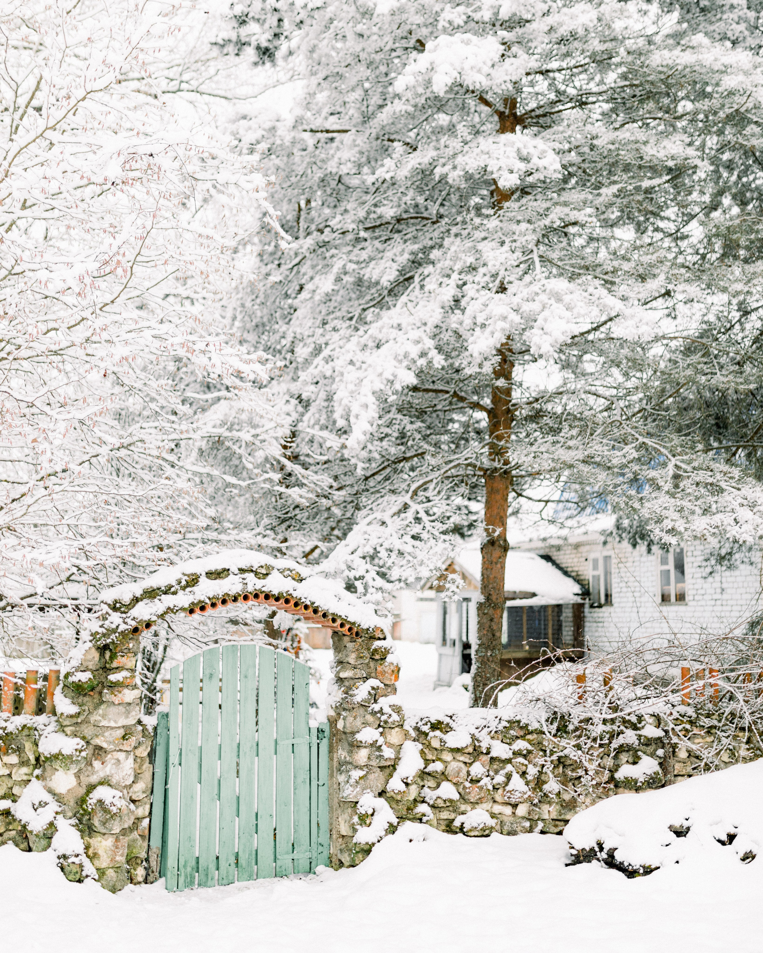 выставка 2025, выставка фотографии, выставка 2026, выставка зимней фотографии, выставка москва, фотовыставка