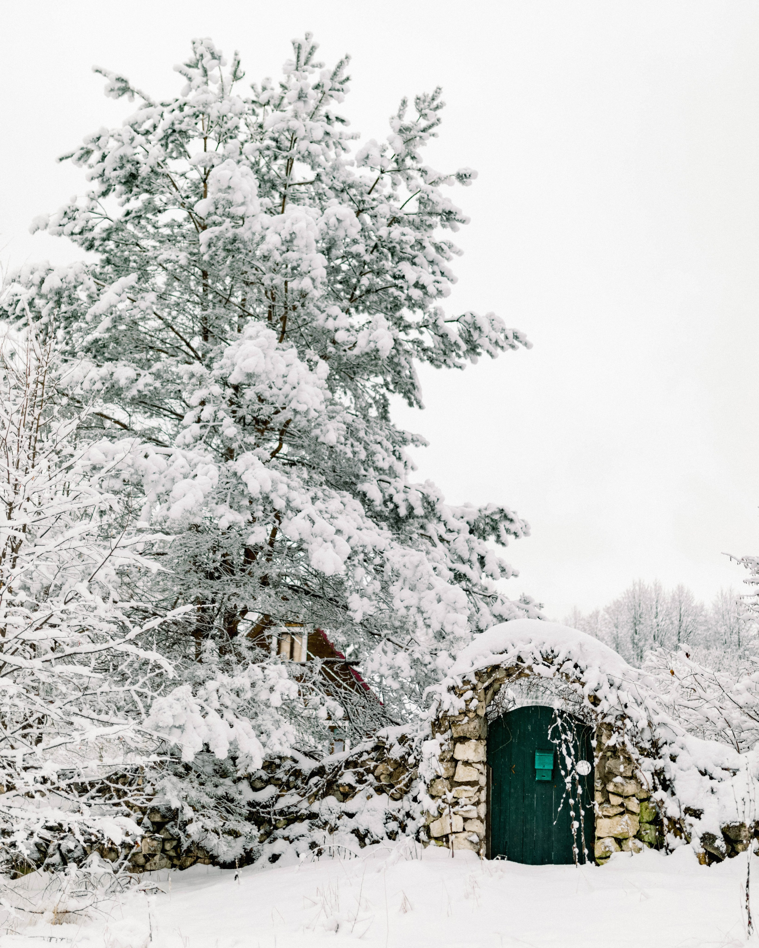 выставка 2025, выставка фотографии, выставка 2026, выставка зимней фотографии, выставка москва, фотовыставка
