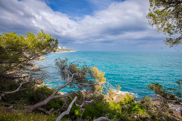 Фото о жизни