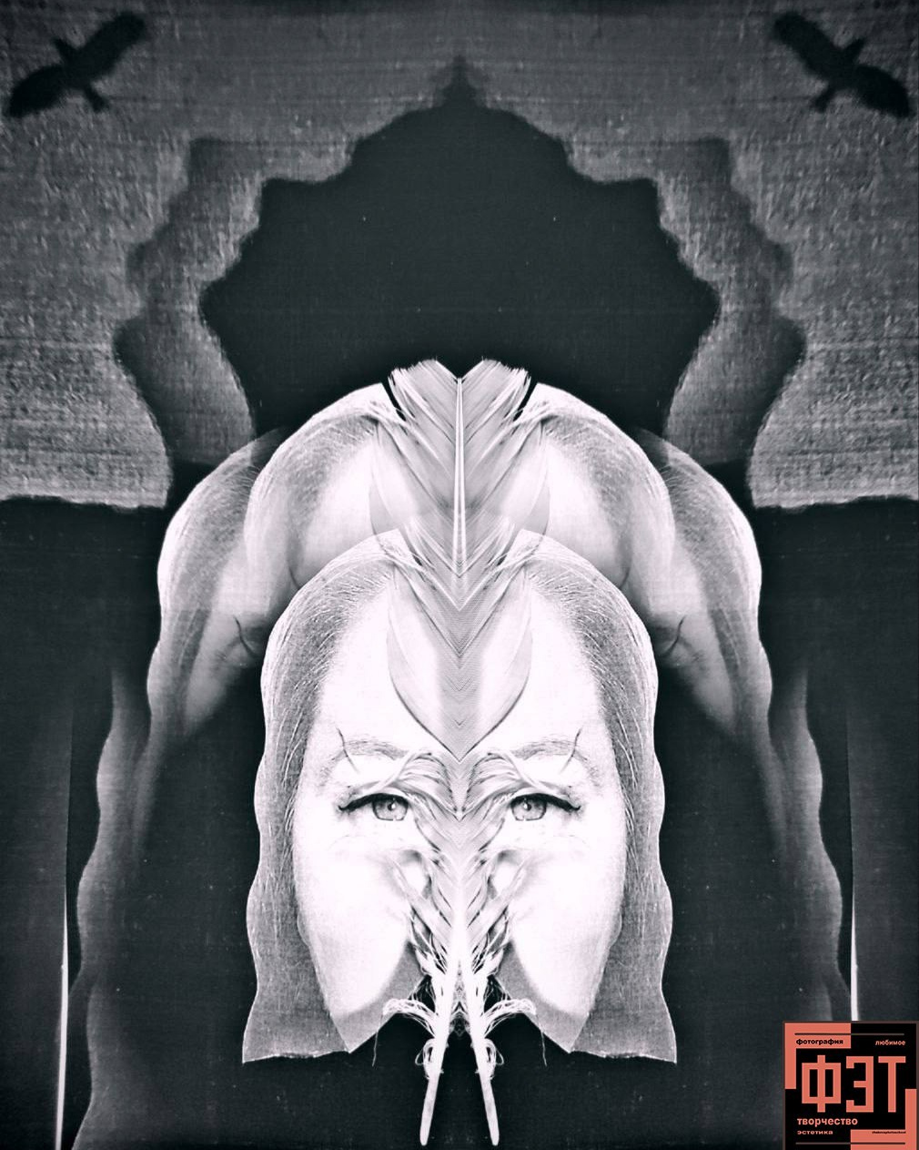 Фотопроект «ФЭТ: Фотография, Эстетика, Творчество»