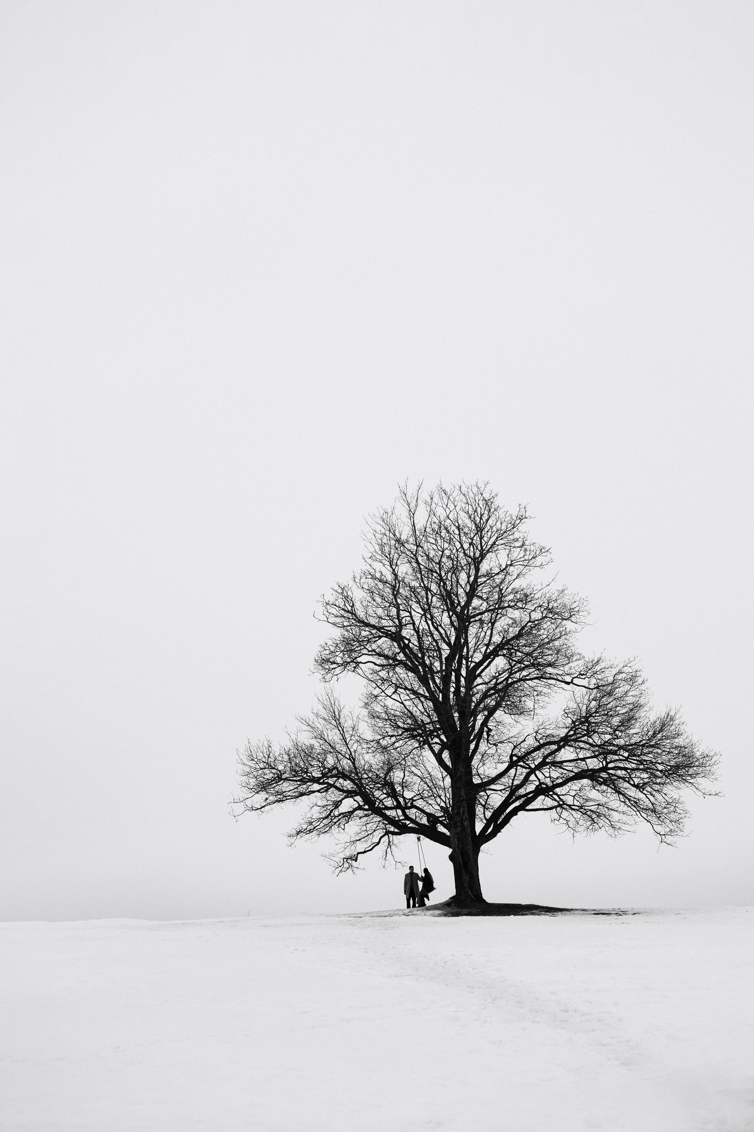 Portfolio Award 2026