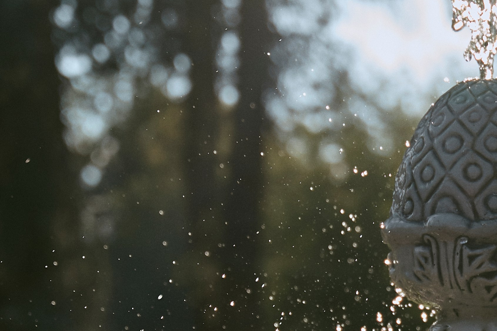 Услуги. Главная