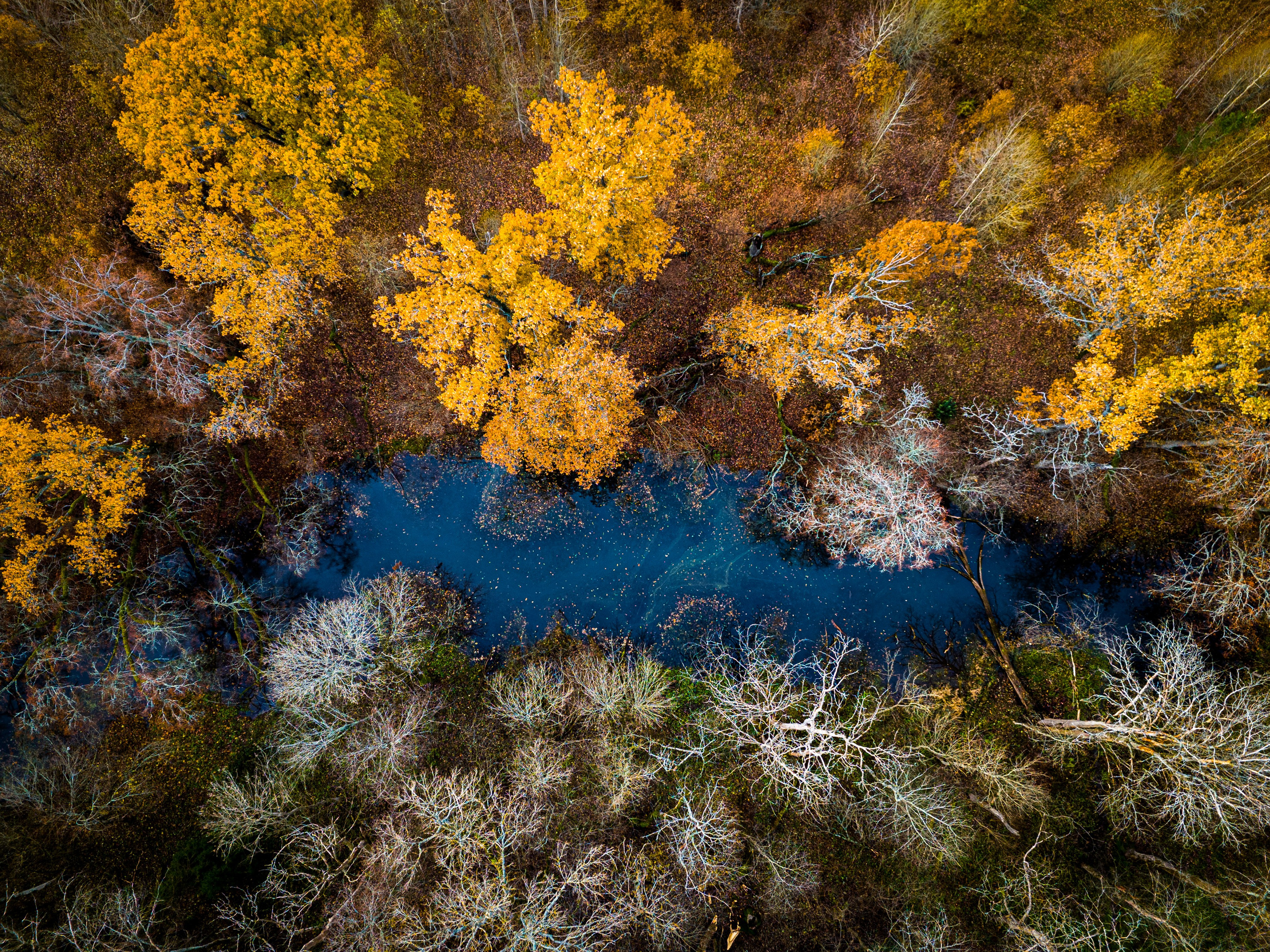 Аэросъемка. Студия визуального контента в Санкт-Петербурге и Москве
