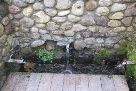 Святой источник рядом с Шалово-парк Серебряные ключи