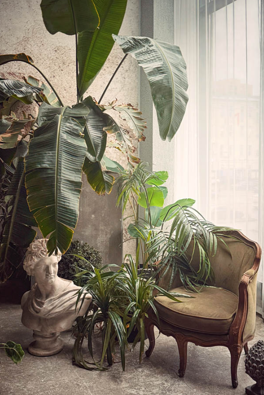 Список фотостудий в Москве, в которых провожу свои фотосессии