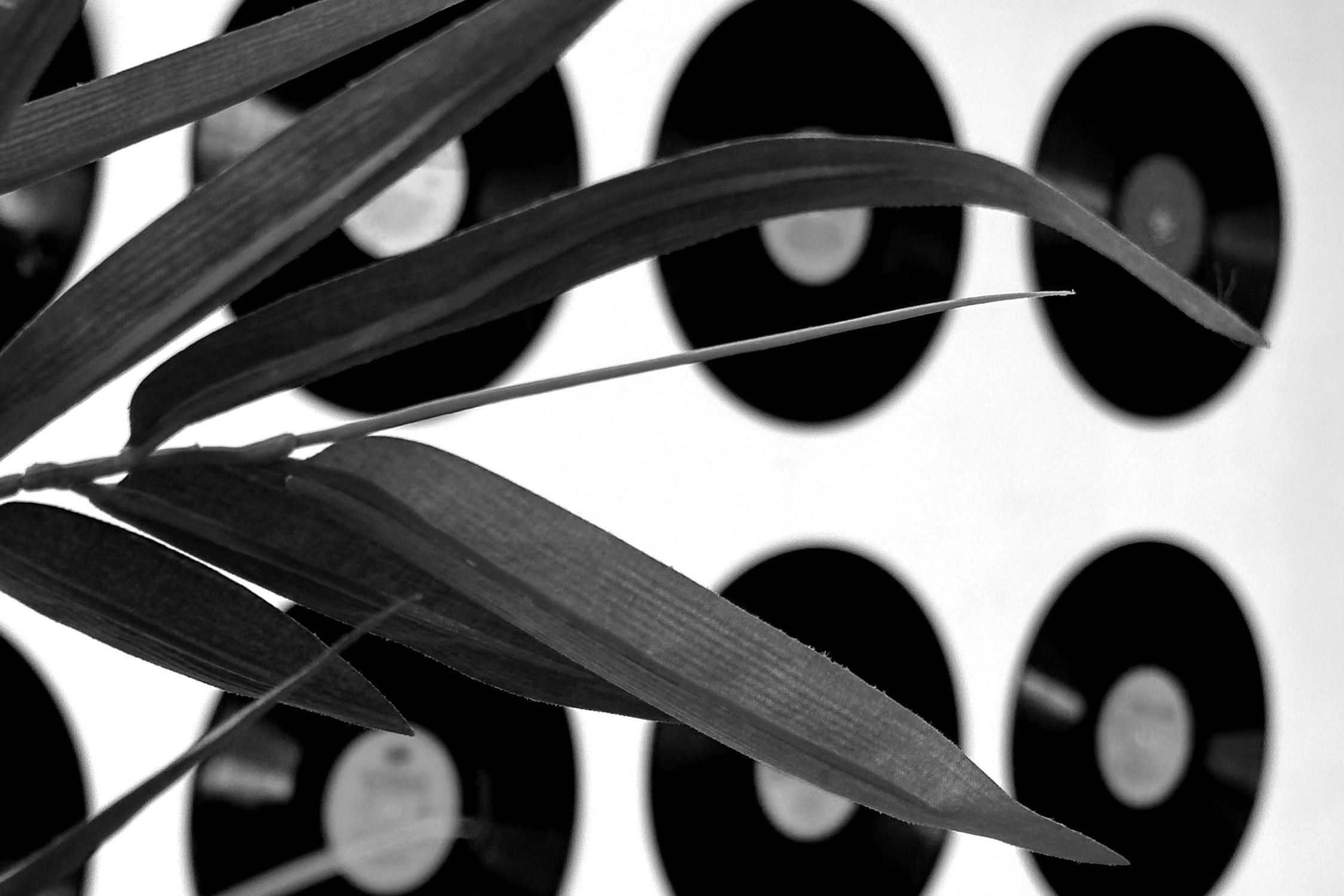 Прайс-лист услуг фотографа: цены на свадебную, портретную и семейную фотосъемку