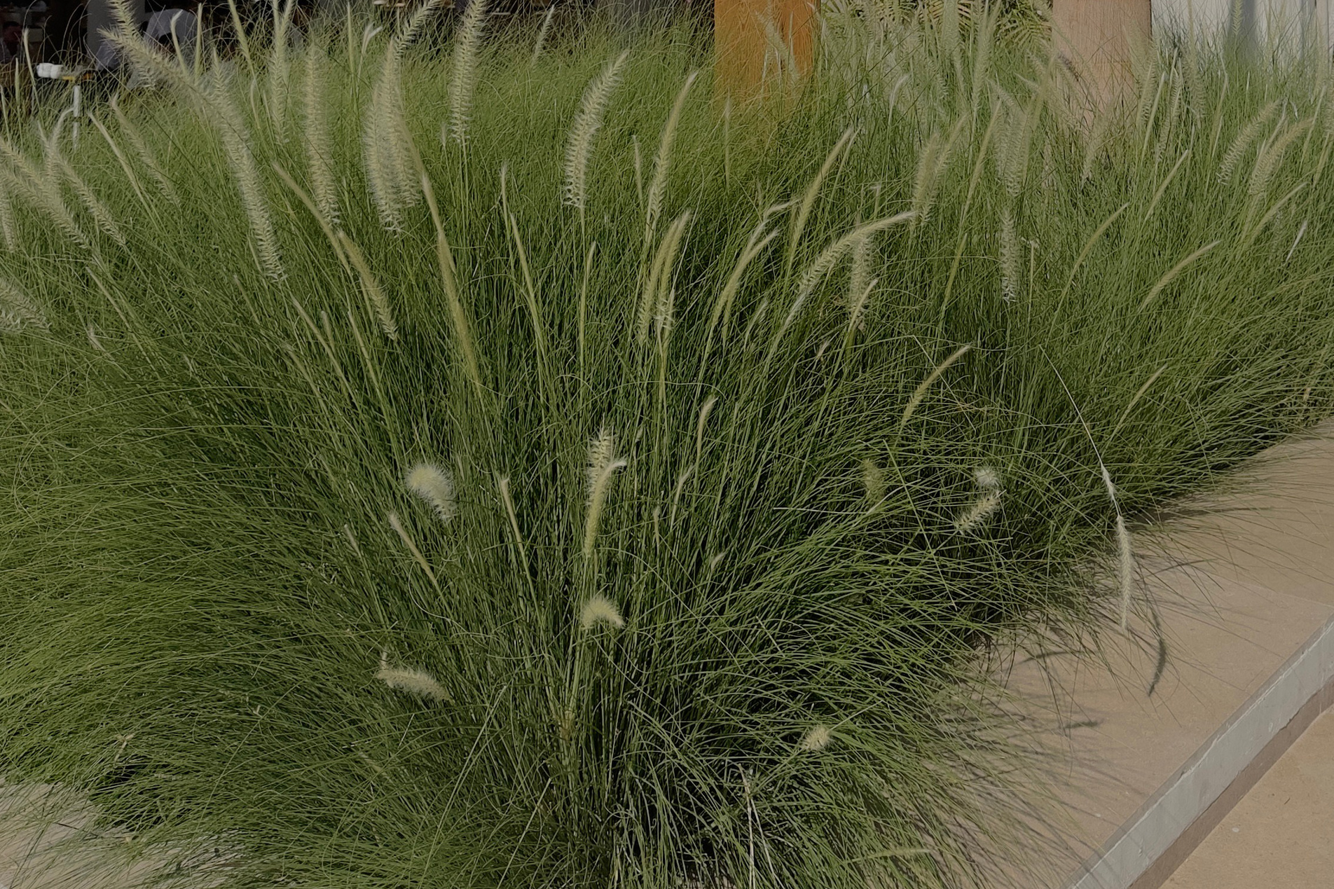 Прайс. Фотограф Елизавета Наумова в Волжском & Волгограде