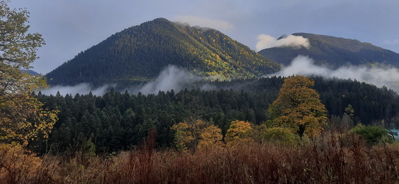 Программа смены в Архызе. Творческий лагерь для взрослых