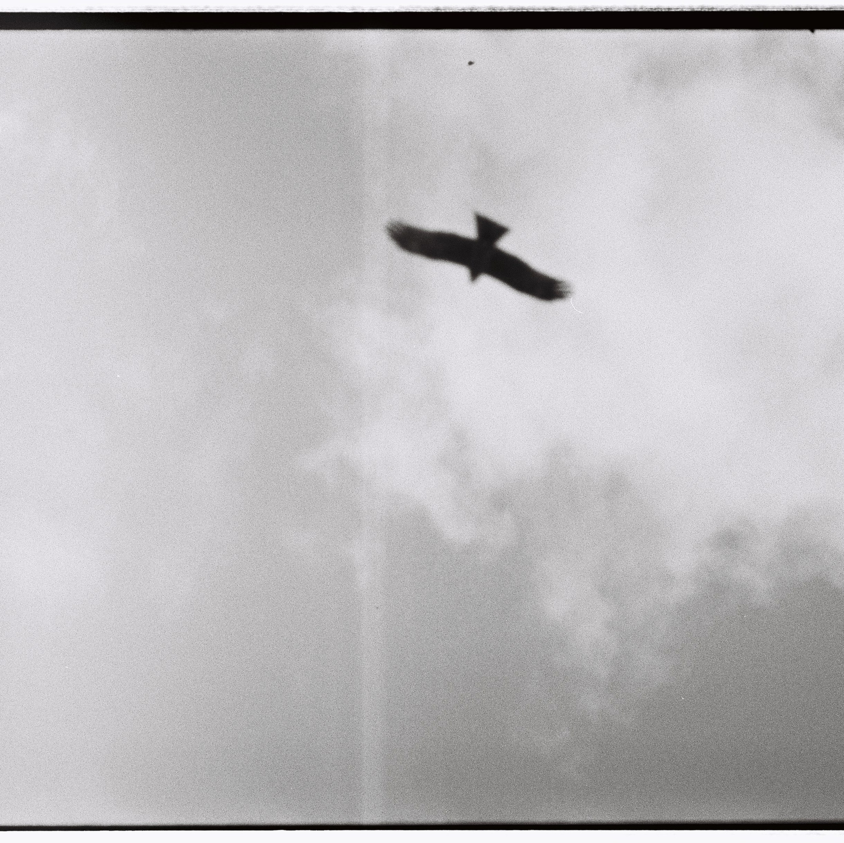 ТАТИ | Татьяна Тихонова | фотограф | Тольятти Самара