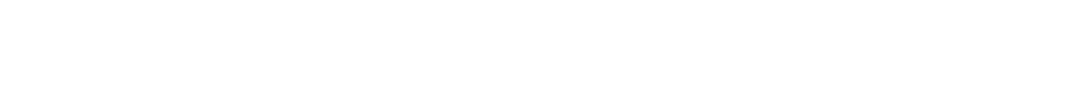 alisalevchenko.com