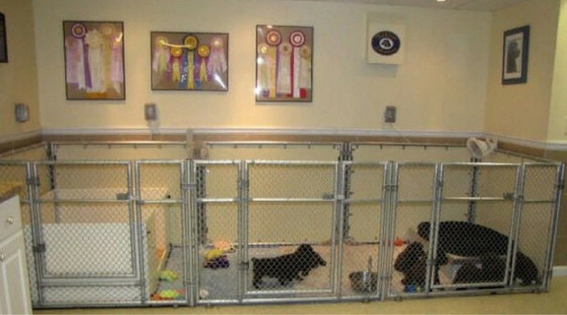 Требования к размещению собак в питомнике. НРОО КЦ "Собаковод"