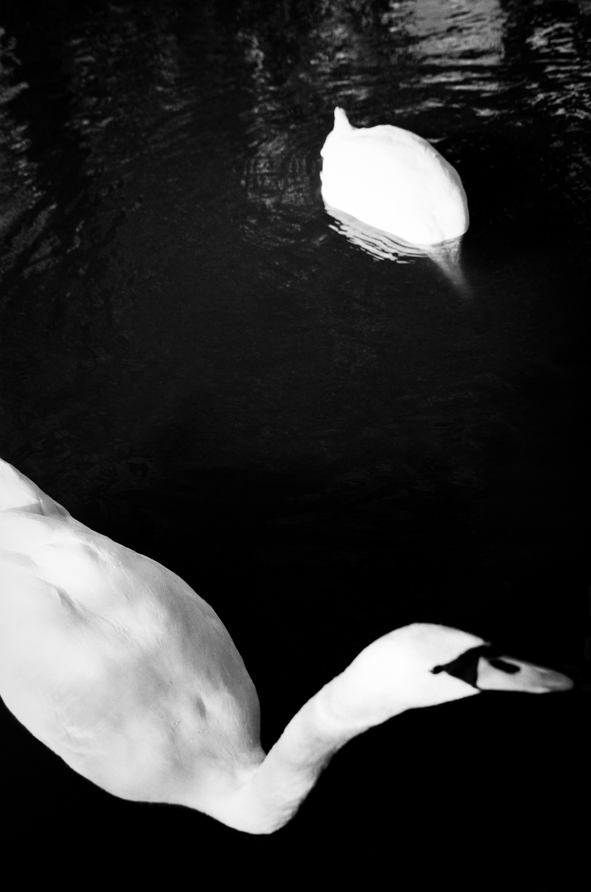 Фотограф Ольга Малыгина