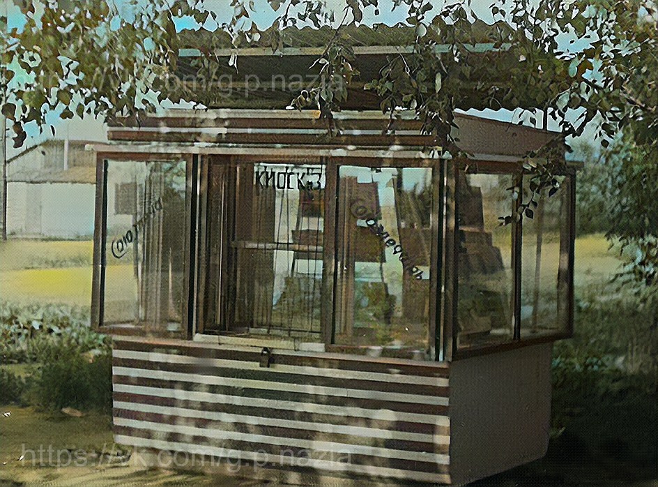 Магазины, киоски, кафе, дом быта, аптека и гостиница в Назии. История Назиевского городского поселения