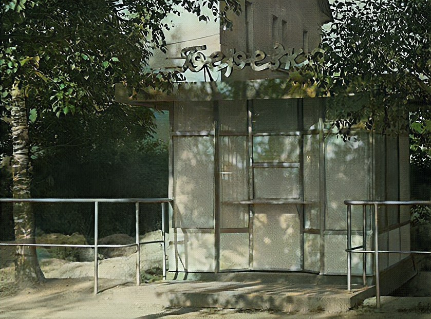 Магазины, киоски, кафе, дом быта, аптека и гостиница. История Назиевского городского поселения