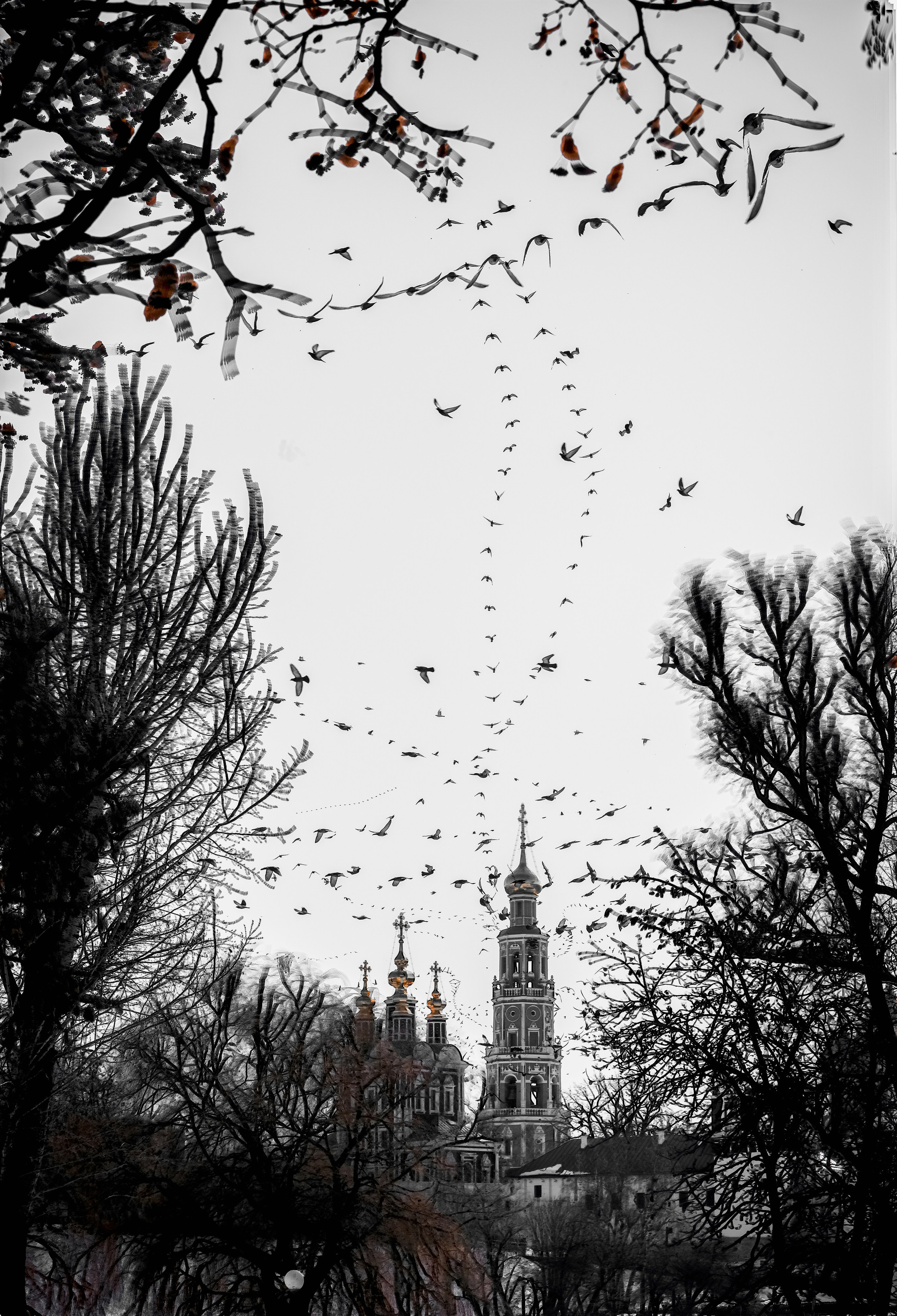 Мультимедийный проект «Траектория мегаполиса». Павел Иванов — фотохудожник