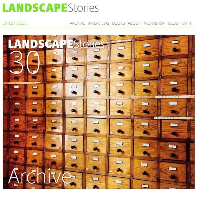 Екатерина Васильева художник, куратор и преподаватель