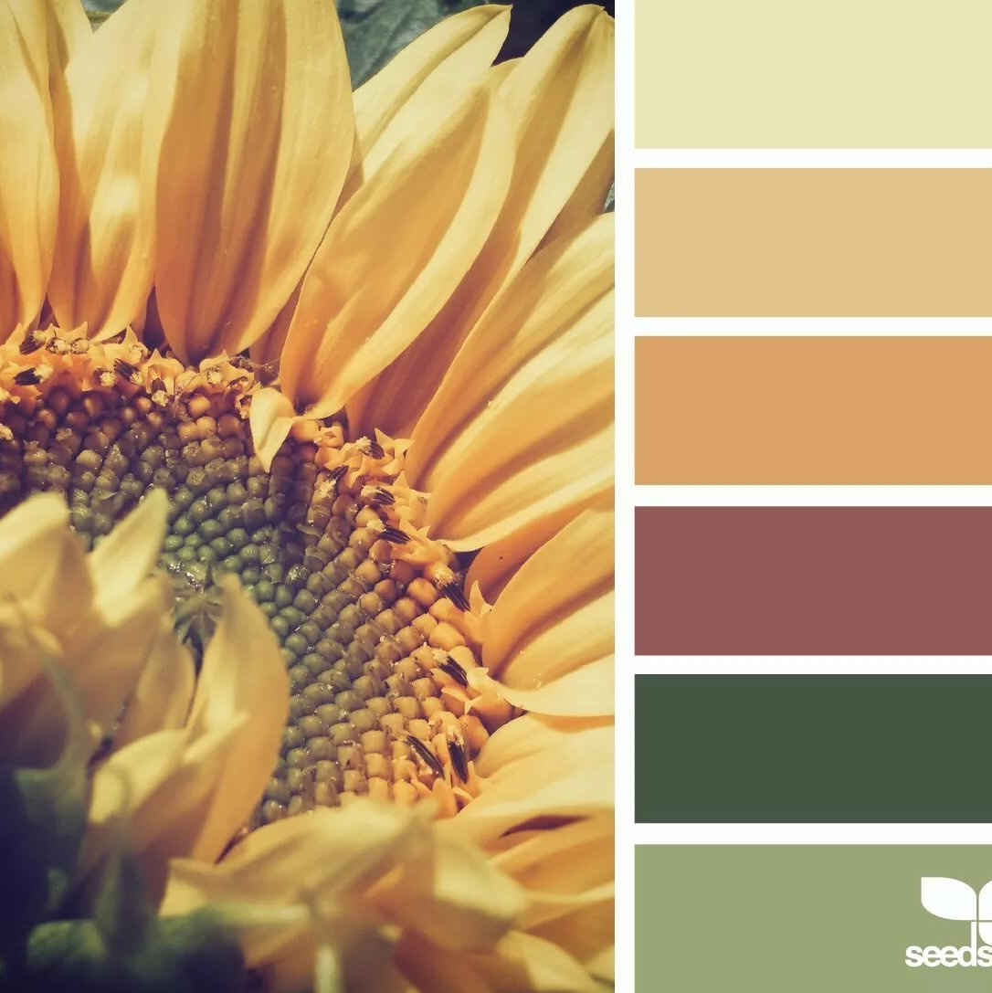 Локации и их цветовые гармонии. Степанова Анна.Детский и семейный фотограф Крым