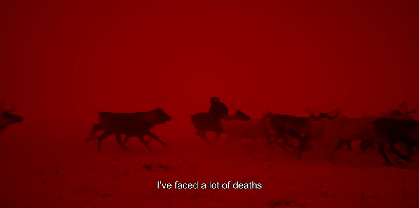 2022 ГОЛОСА АРКТИКИ. Дарья Каширина