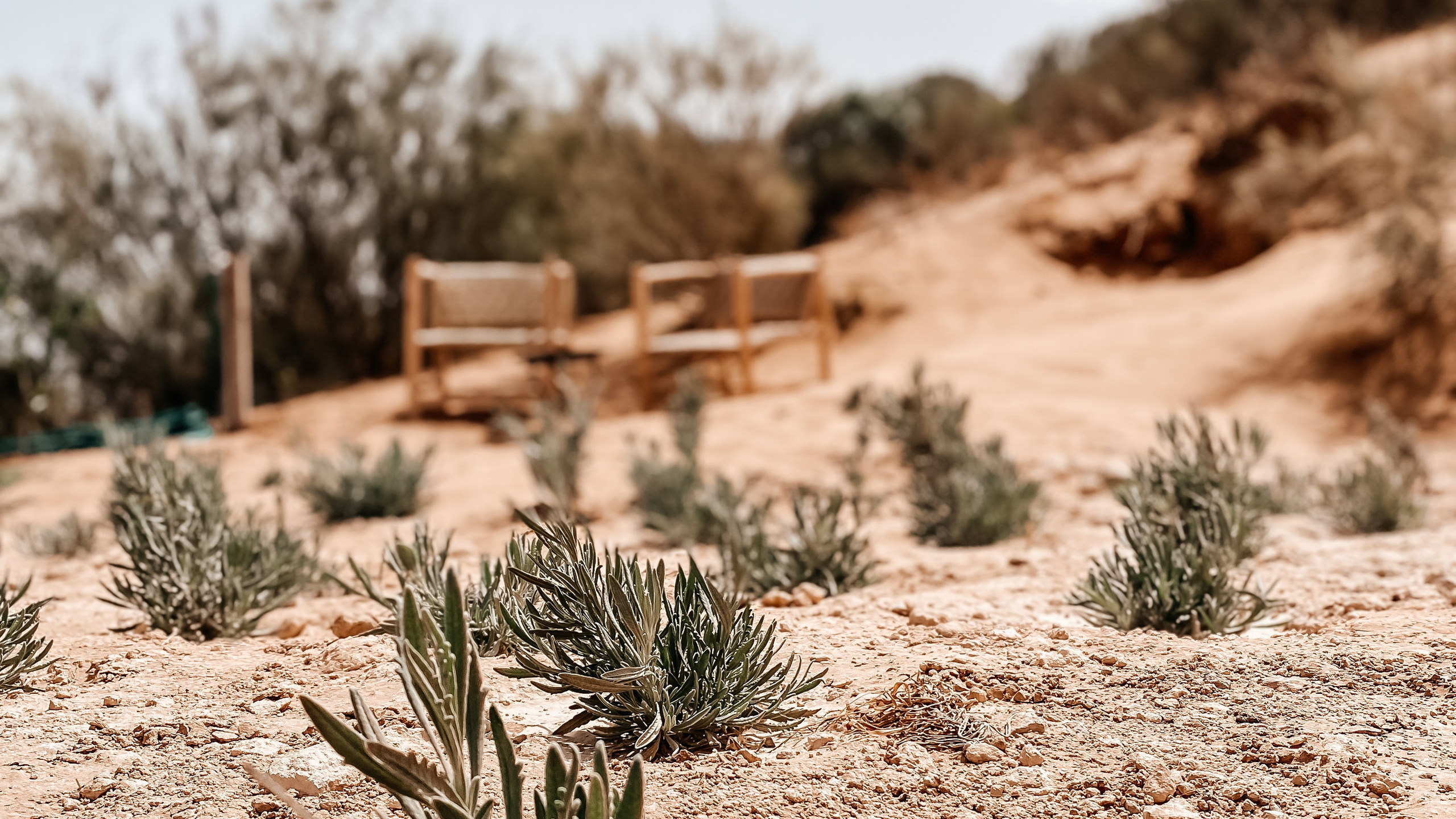 CONTACTS. Olga Popova — Photographer in Morocco