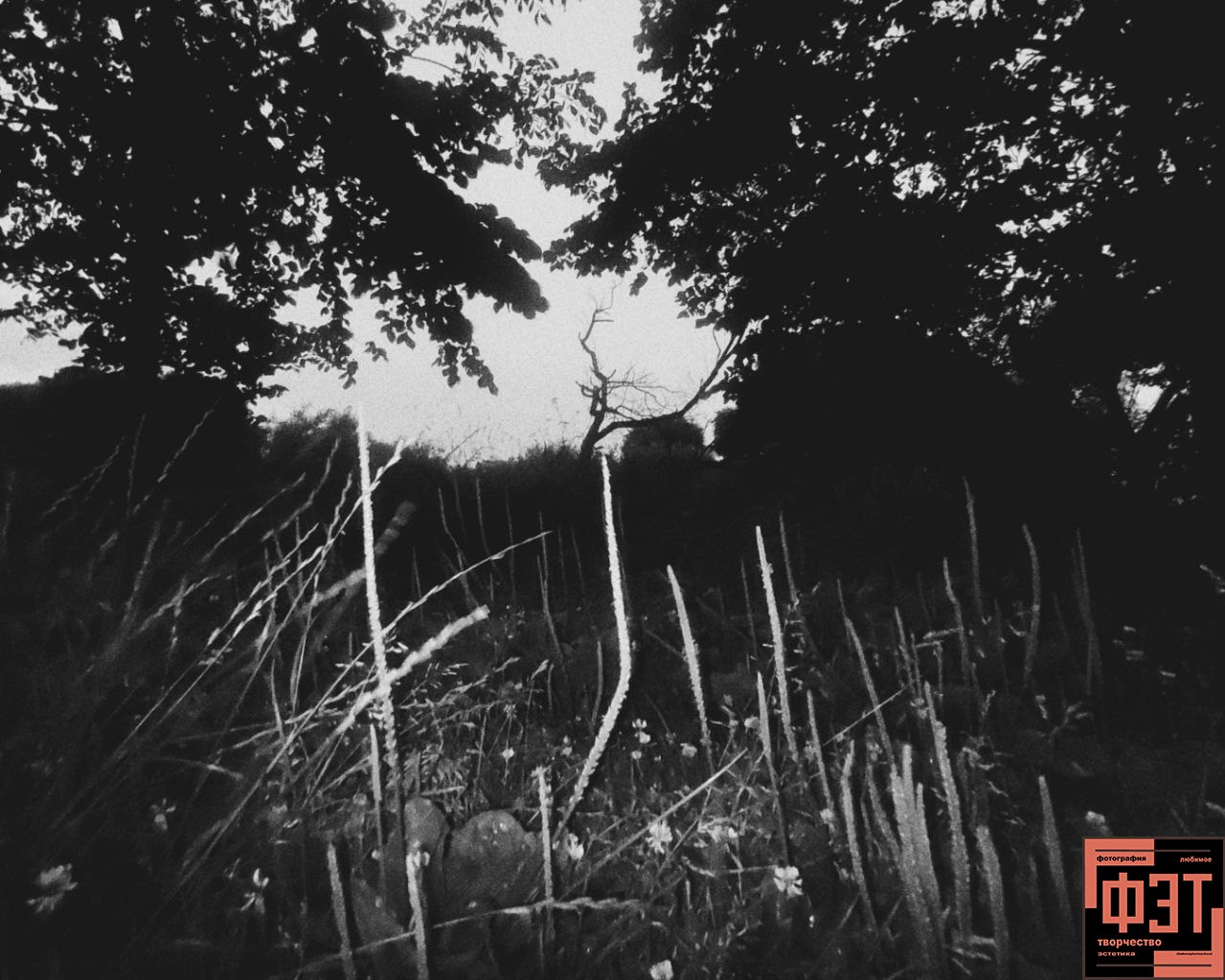 Альбом ФЭТ 27.09.26. Фотография Эстетика Творчество