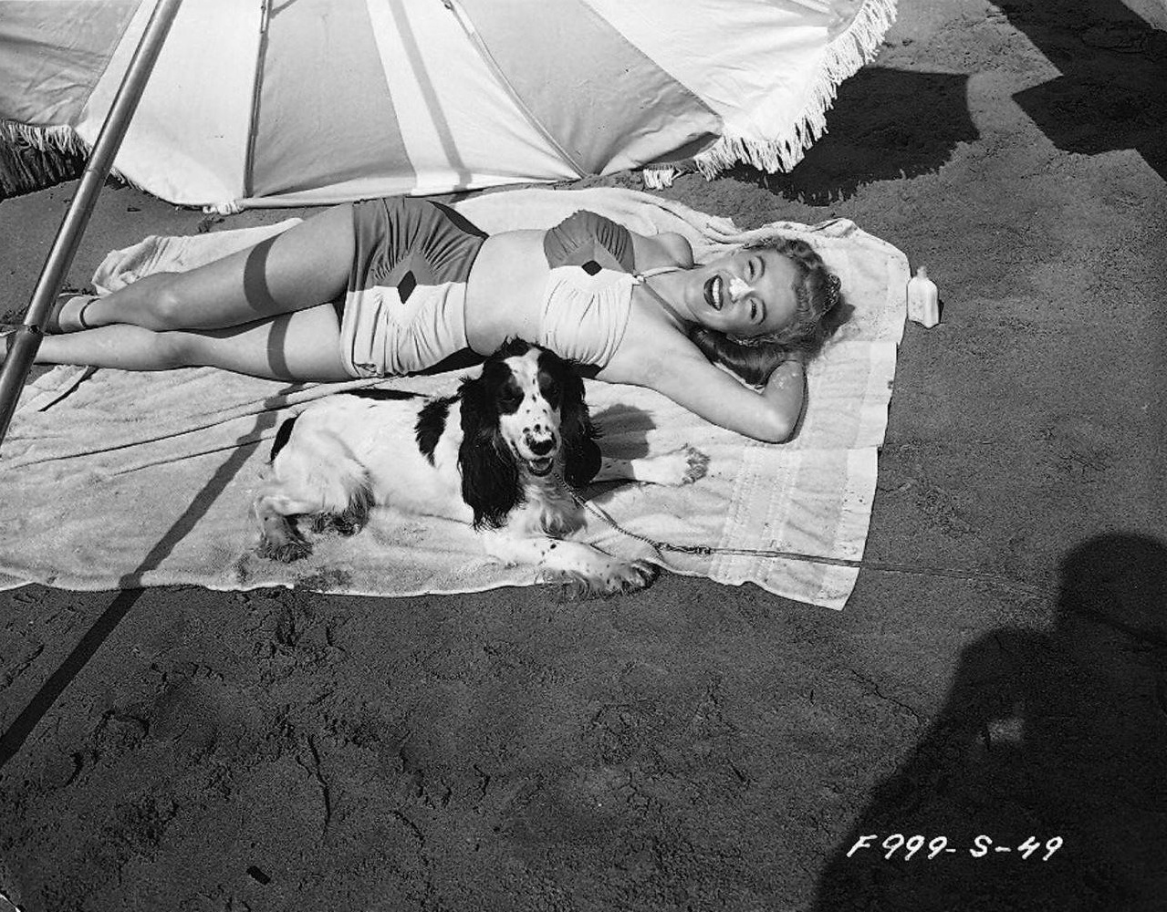 Мерлин Монро. Фотограф анималист в Санкт-Петербурге Таша Крейв