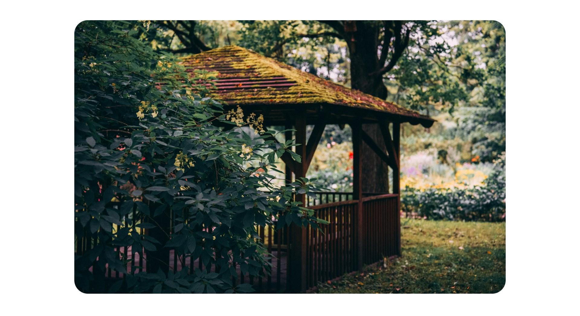 Калининград 3. Фотограф из Москвы — DASHA NOVA | Авторская фотография в разных жанрах