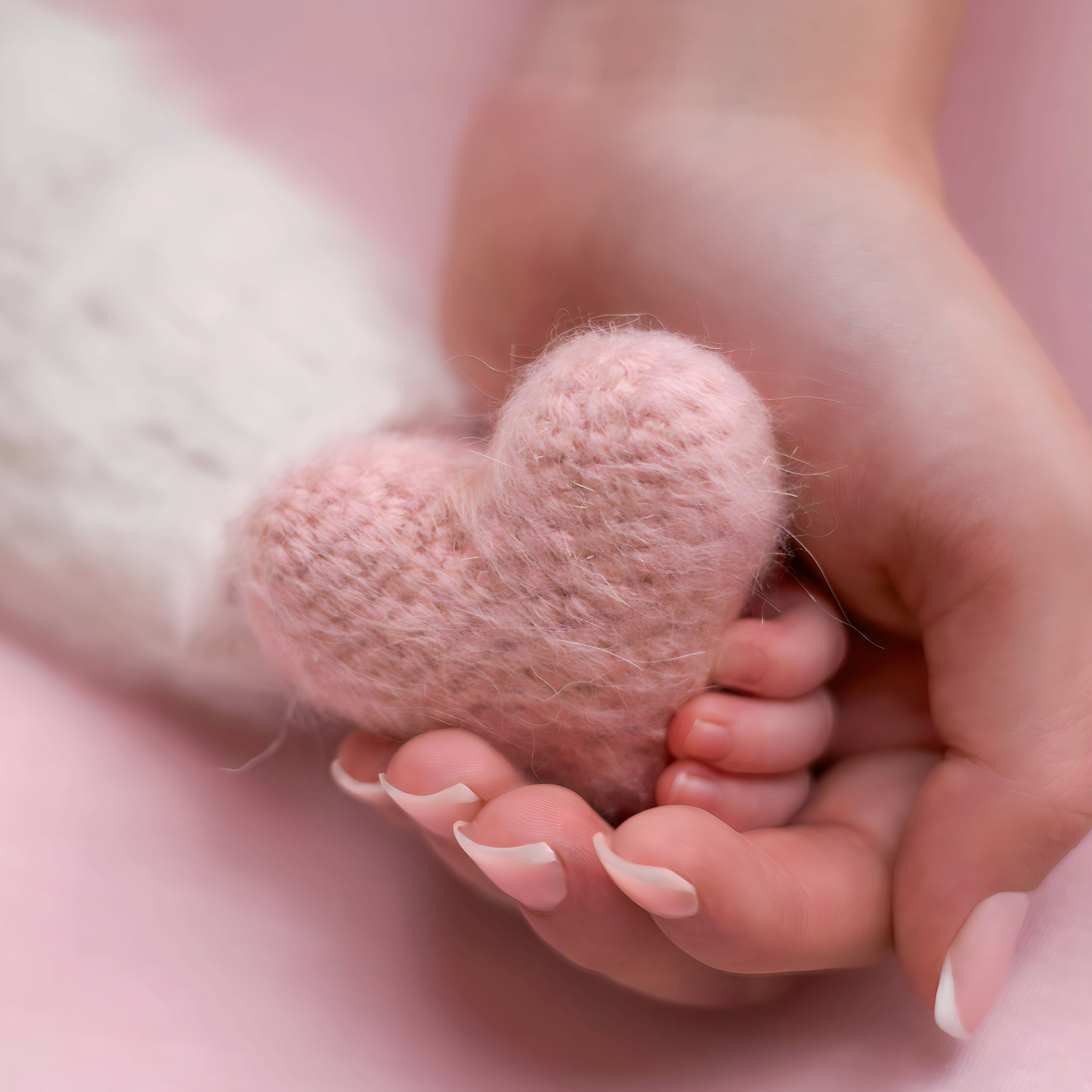 Услуги. Давидова Лола Москва фотограф новорожденных