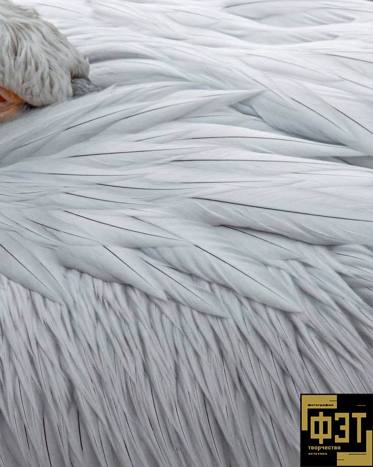 Выбор зрителей 01.03.26