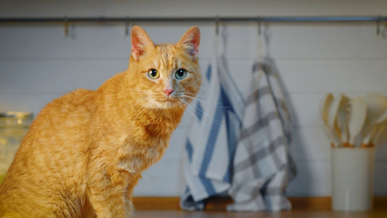 RED SOLUTION. Фото и видеосъёмка клипов и контента для компаний и личных брендов