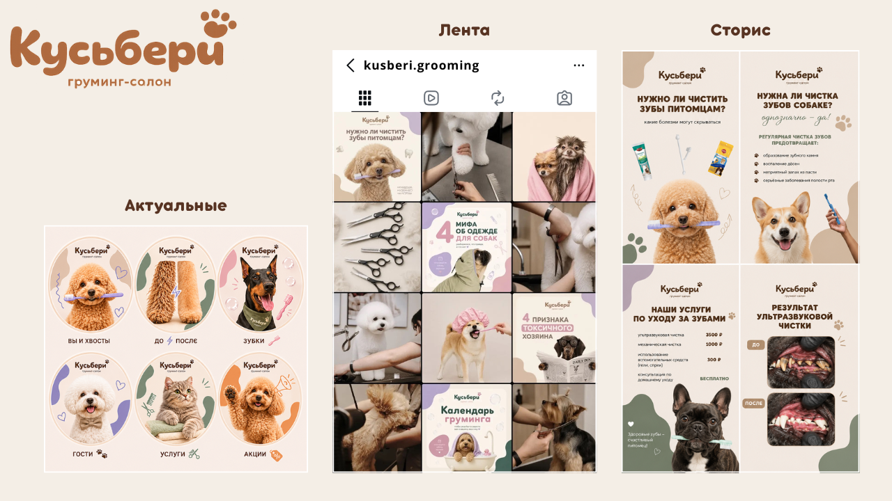 КОНЦЕПЦИЯ • BRAND BOOK • СОЦСЕТИ. Предметный фотограф в Москве Вероника Шокарева