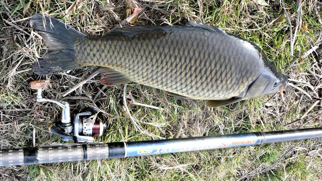 Сезон рыбалки закрыт. Оздоровительный комплекс Шалово-парк Серебряные ключи