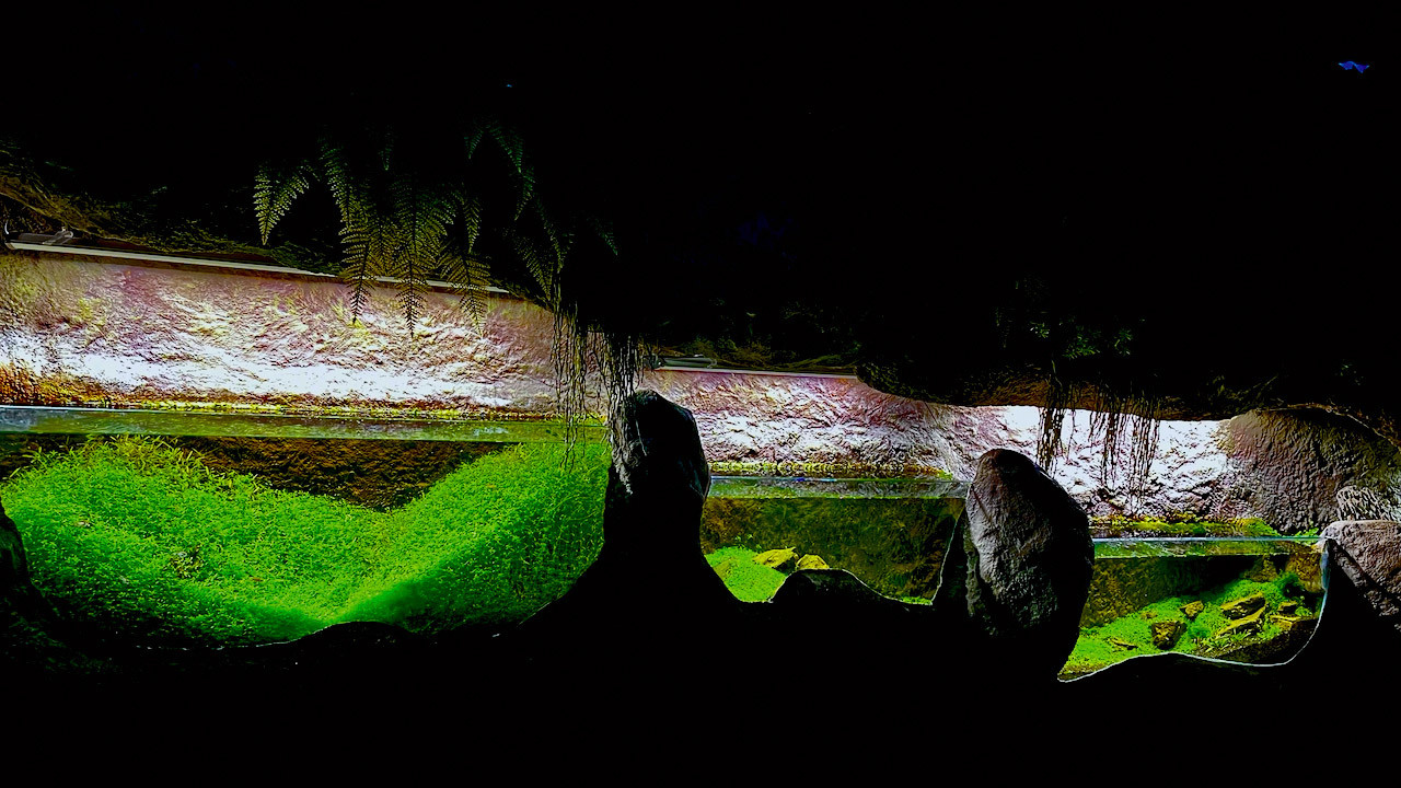 Опыт работы. Home