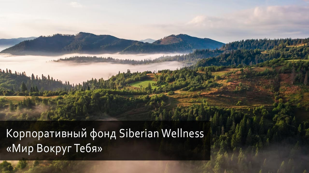 Корпоративный фонд «Мир Вокруг Тебя» от Сибирское Здоровье