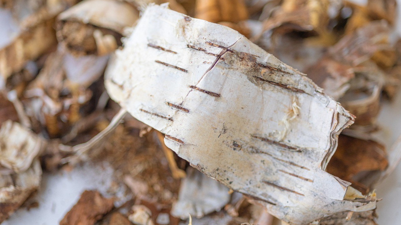 БИОЭНЕРГИЯ — Производство субстрата для теплиц, маты для выращивания